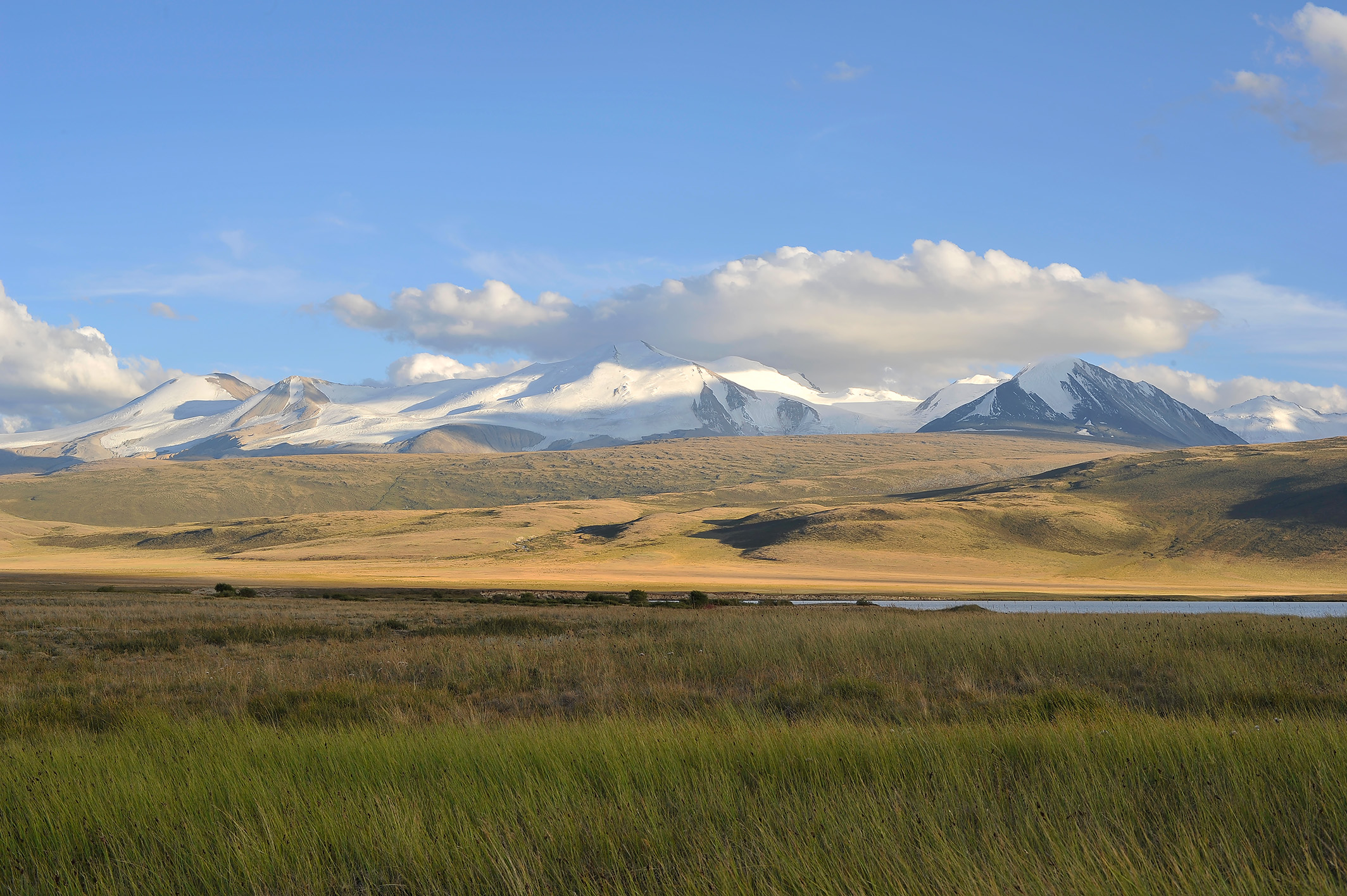 Алтай. Жизнь — Река. Экспедиция на плато Укок. (38/49)