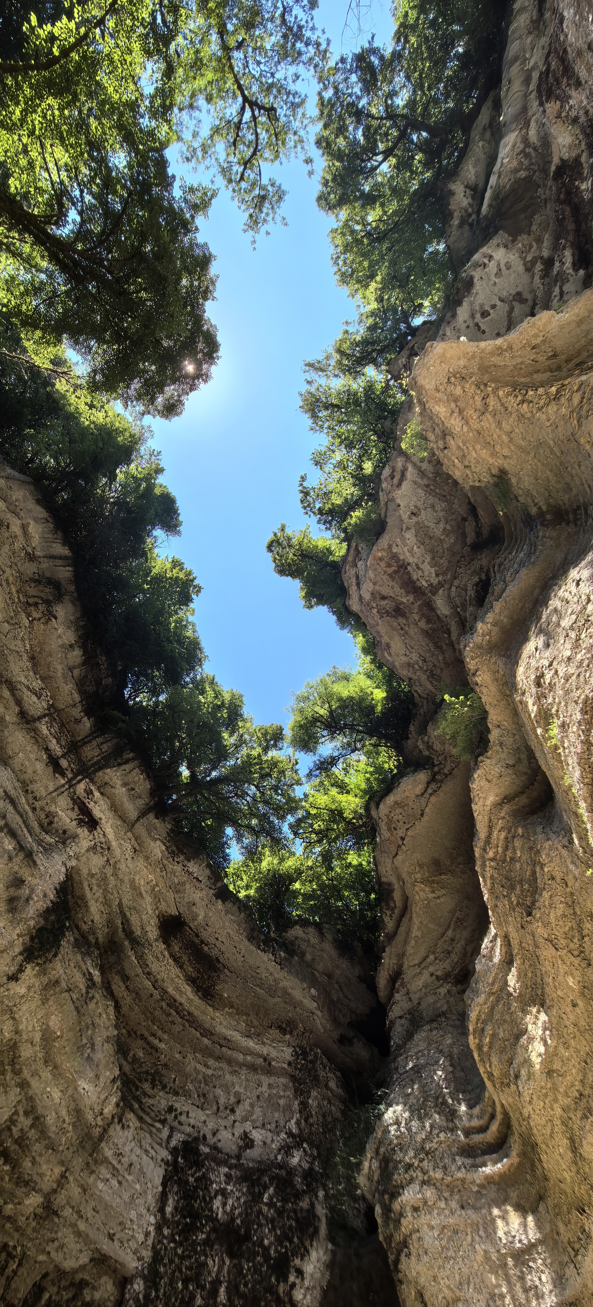 Активный мультитур Другая Абхазия (44/91)