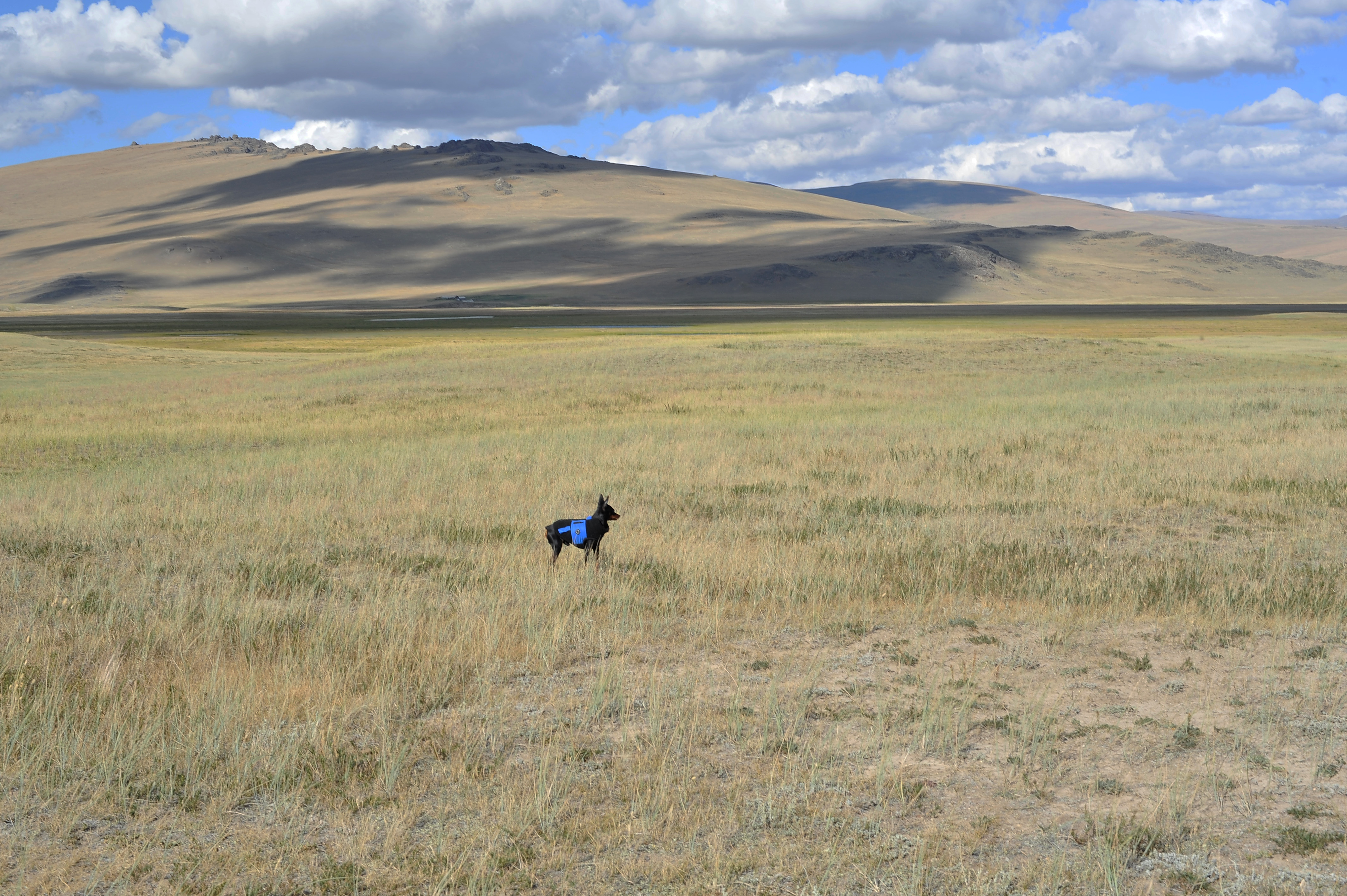 Алтай. Жизнь — Река. Экспедиция на плато Укок. (16/49)