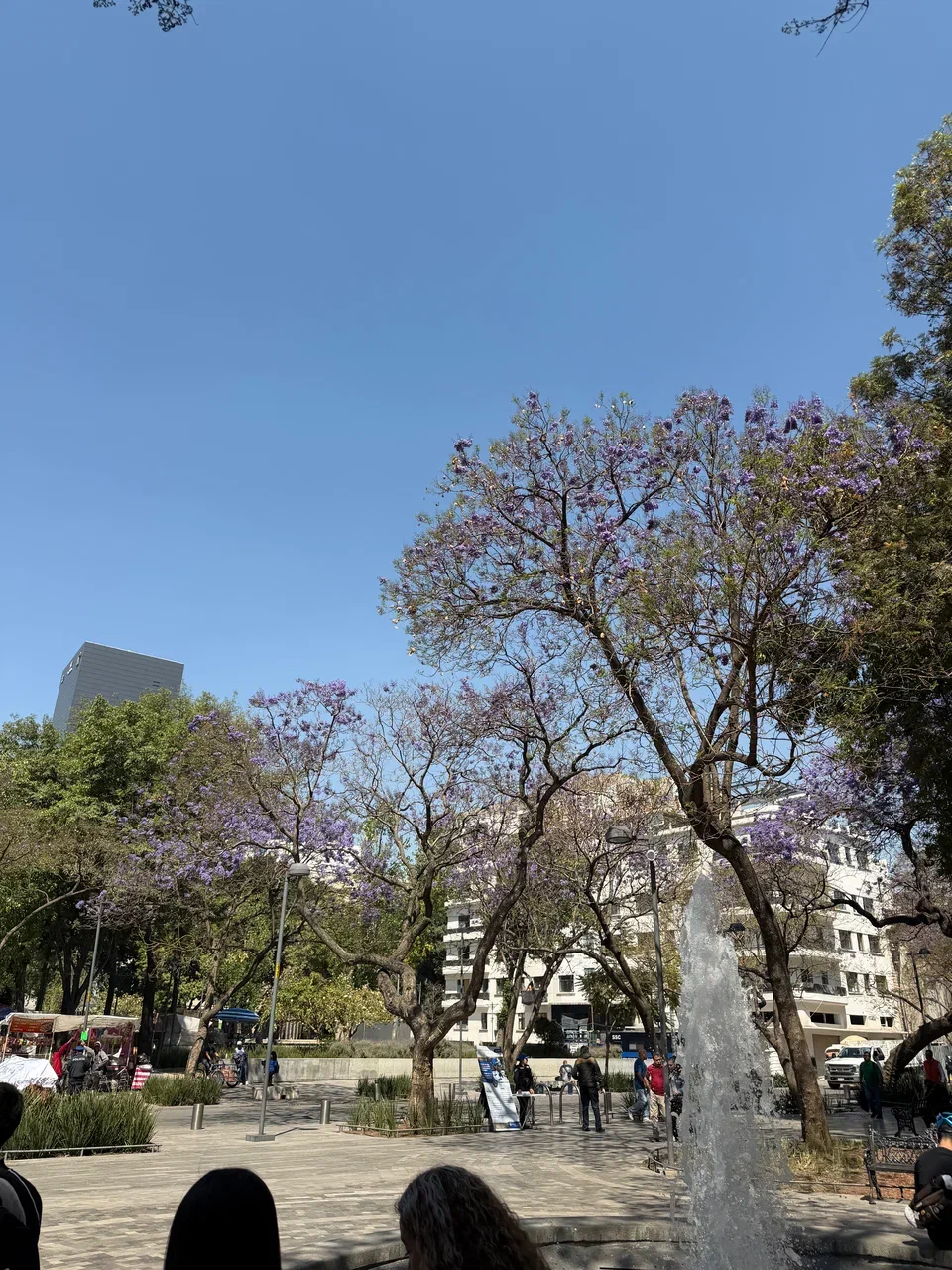 Мексика гастрономическая (28/63)