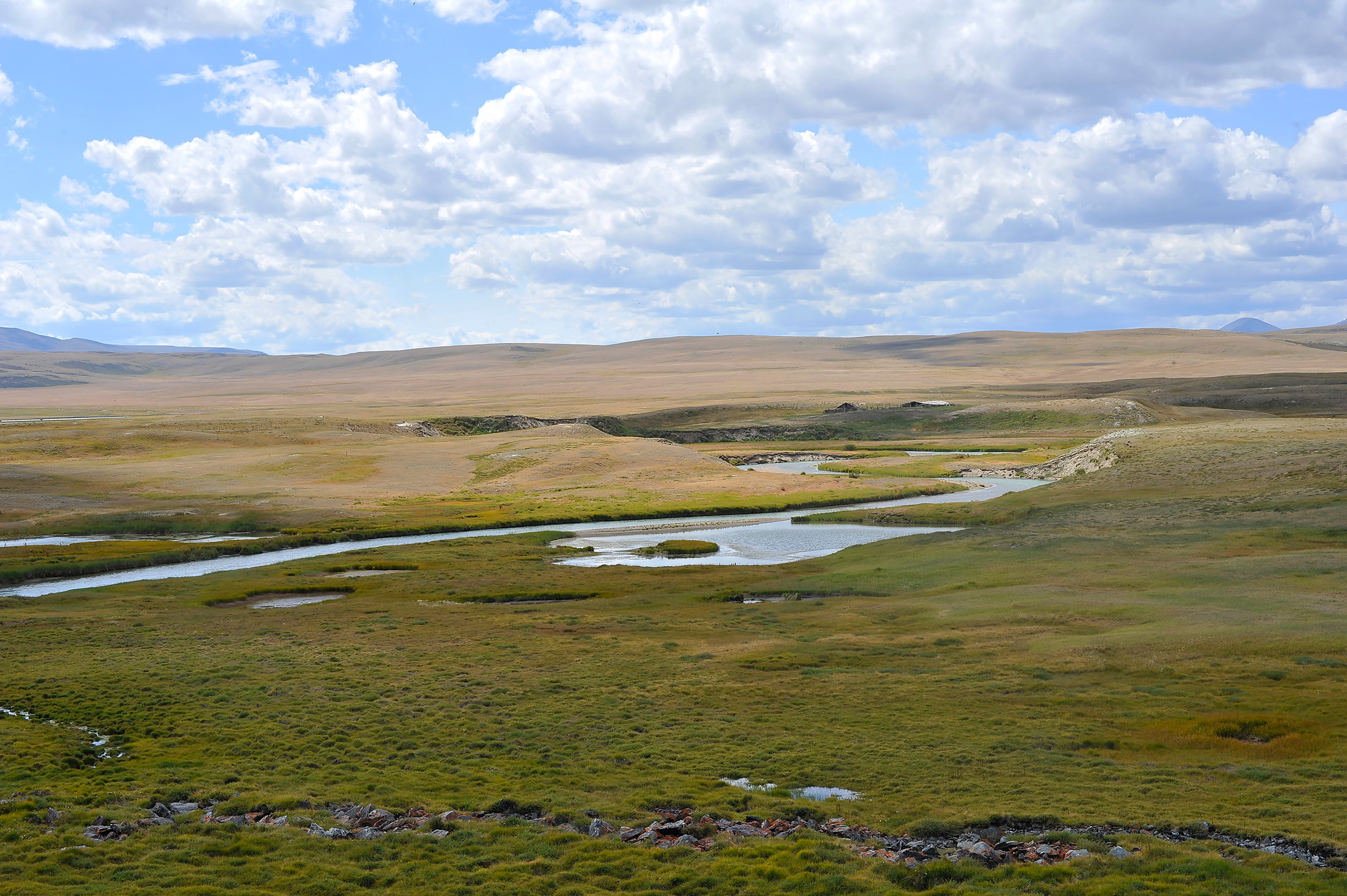 Алтай. Жизнь — Река. Экспедиция на плато Укок. (25/49)