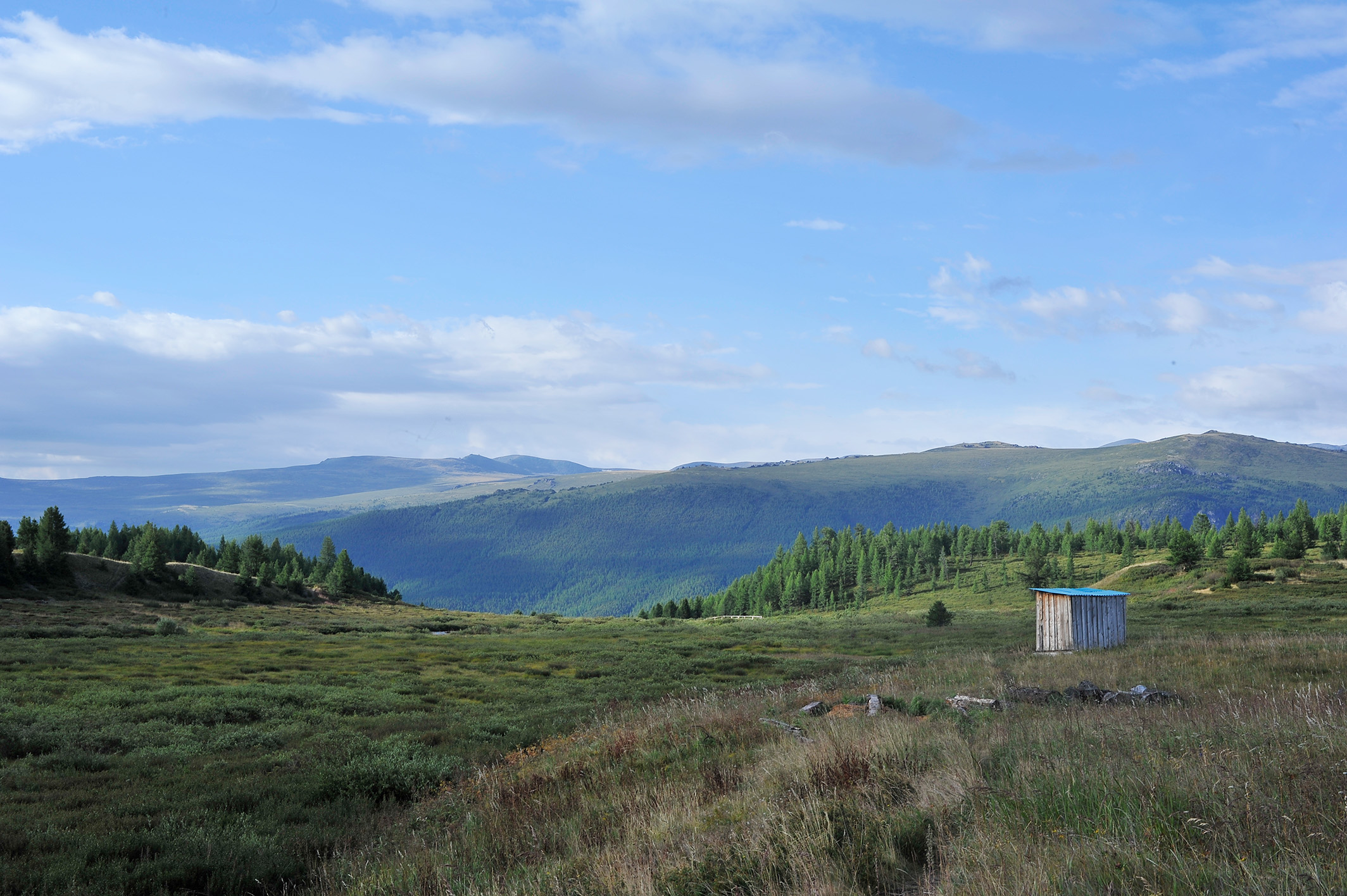 Алтай. Жизнь — Река. Экспедиция на плато Укок. (11/49)