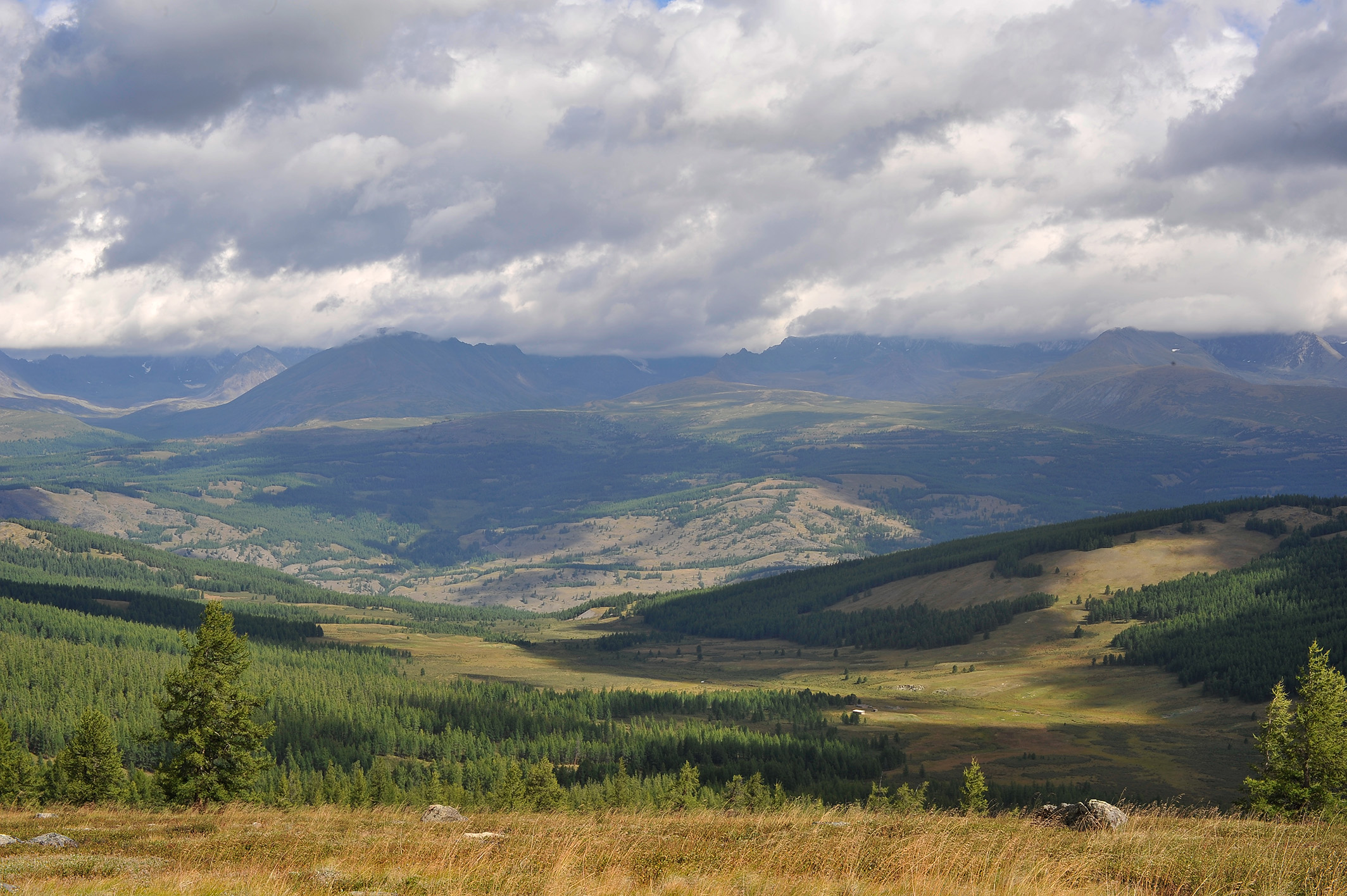 Алтай. Жизнь — Река. Экспедиция на плато Укок. (13/49)
