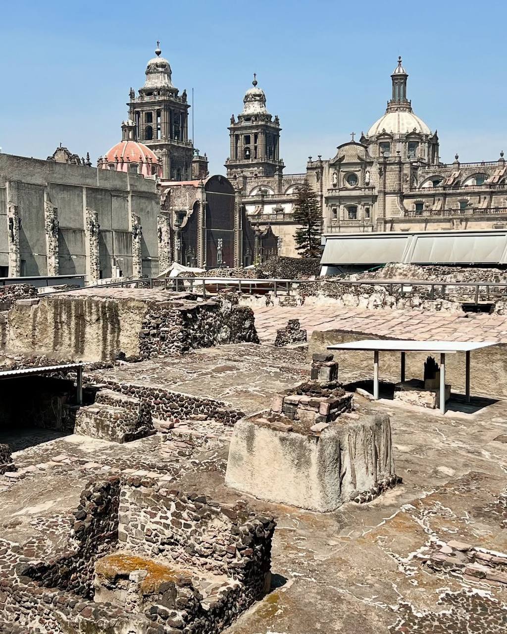 Мексика гастрономическая (36/63)