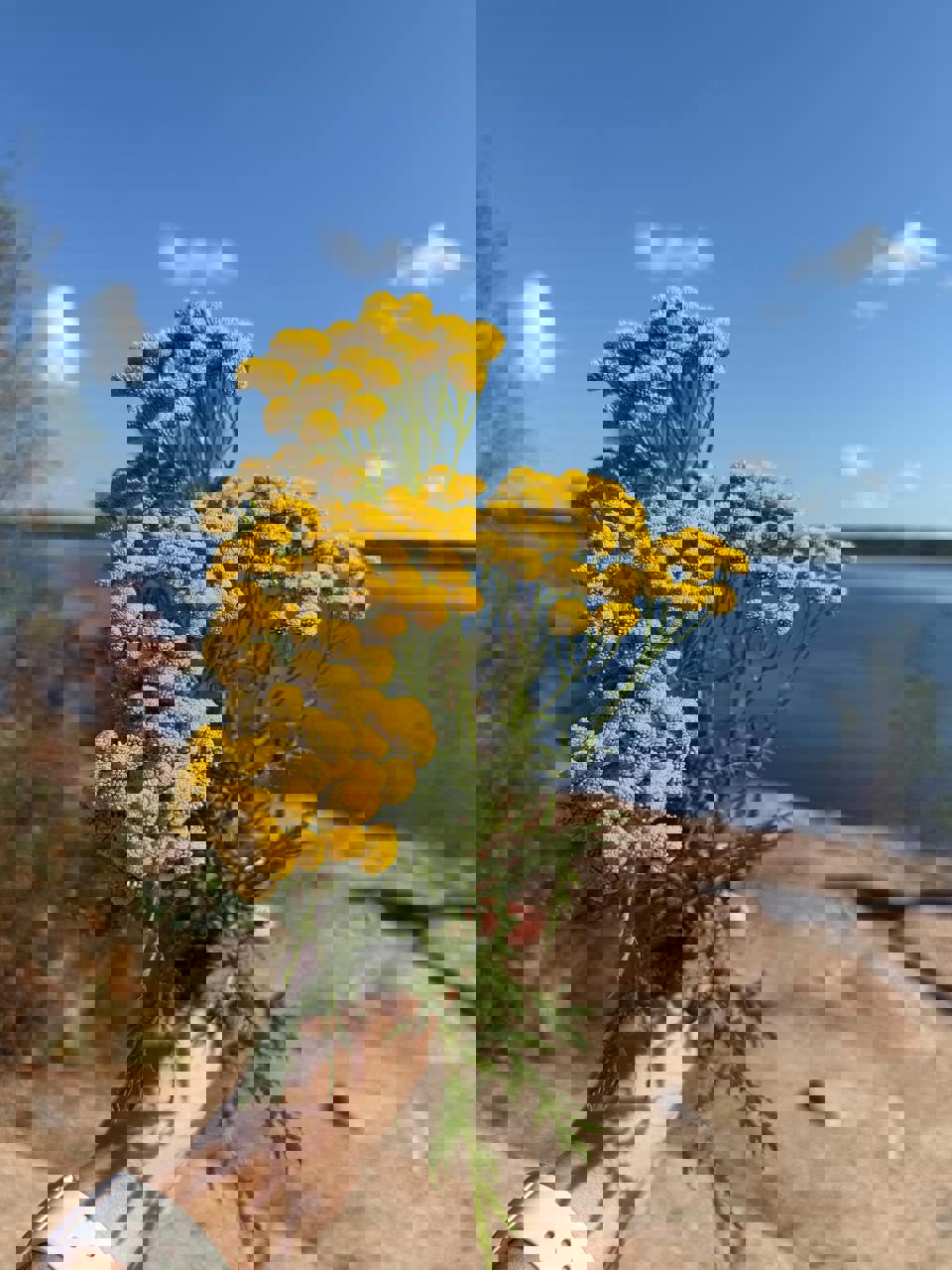 Сказочные выходные в Выборге (24/31)