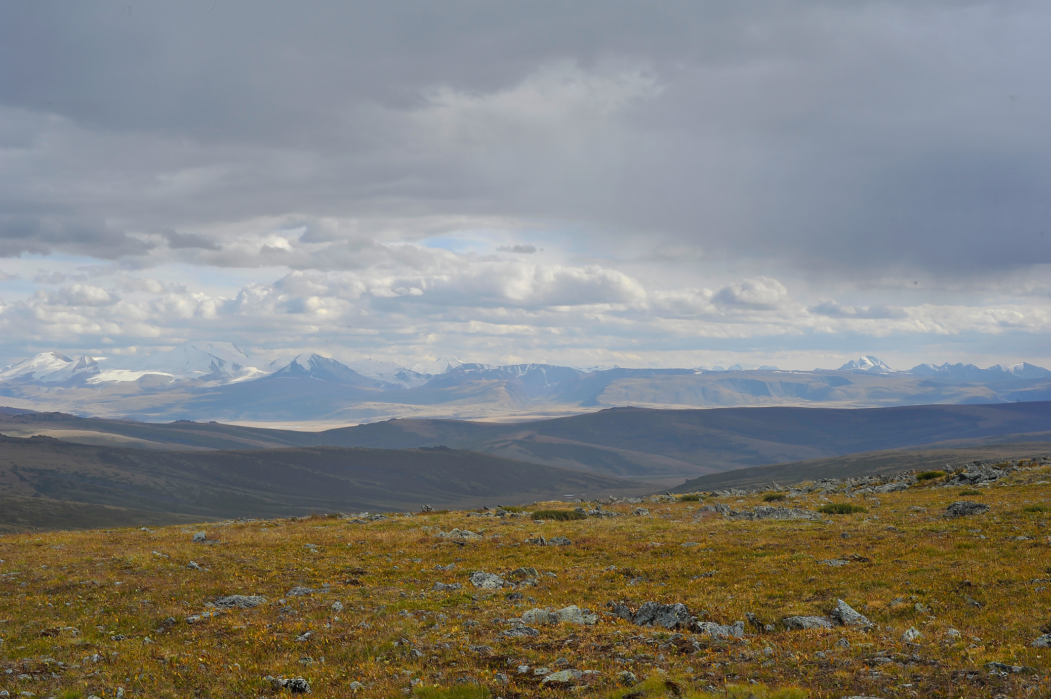 Алтай. Жизнь — Река. Экспедиция на плато Укок. (26/49)