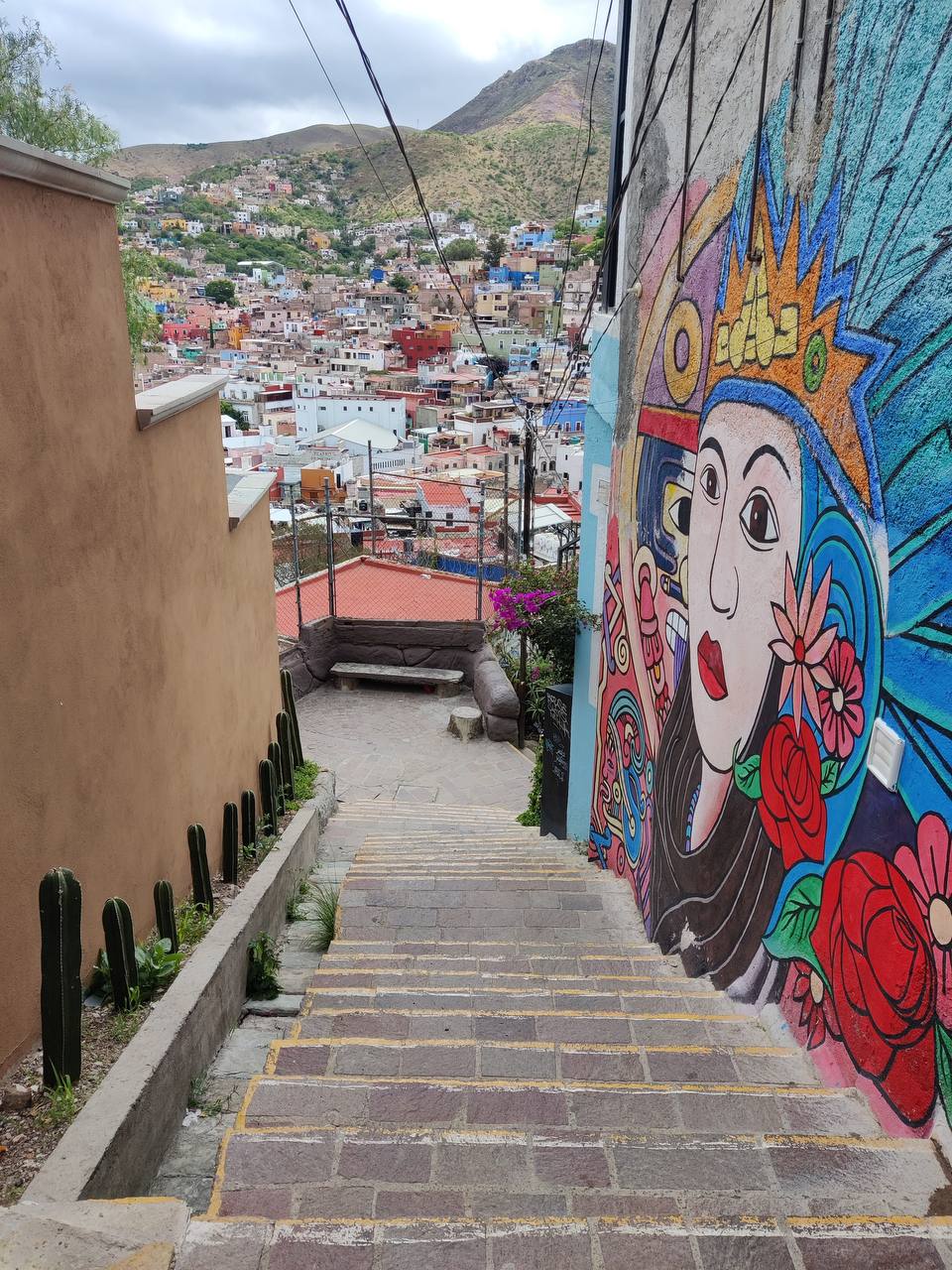 Мексика гастрономическая (2/63)