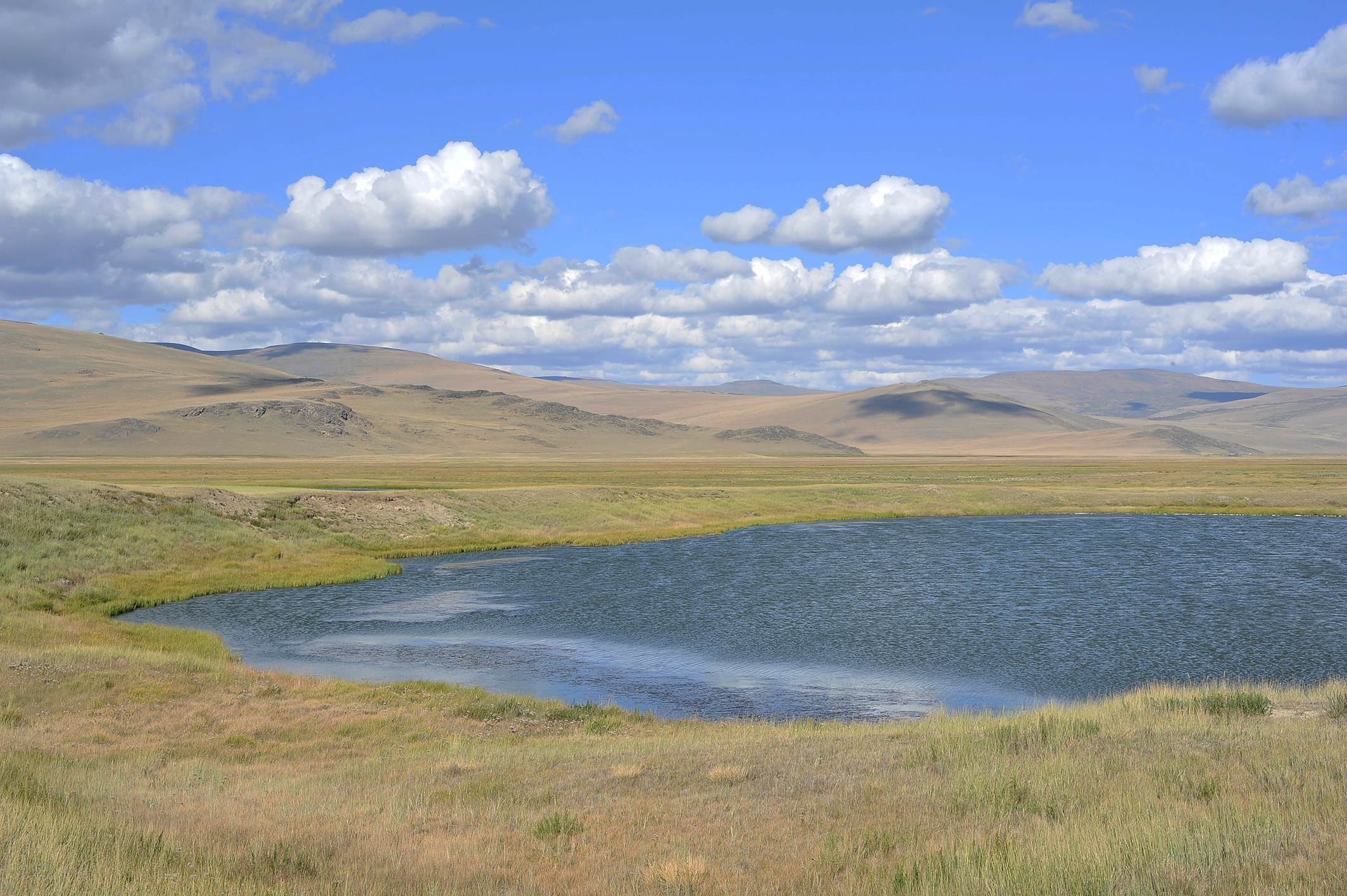 Алтай. Жизнь — Река. Экспедиция на плато Укок. (21/49)