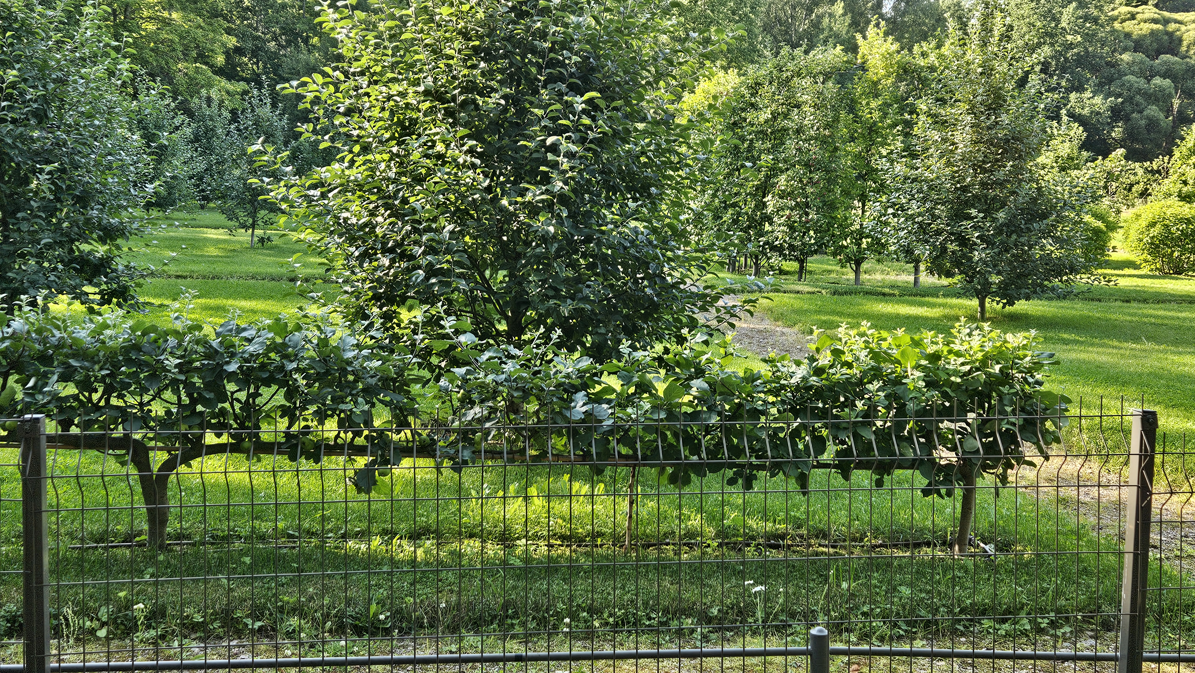 Сказочные выходные в Выборге (21/31)