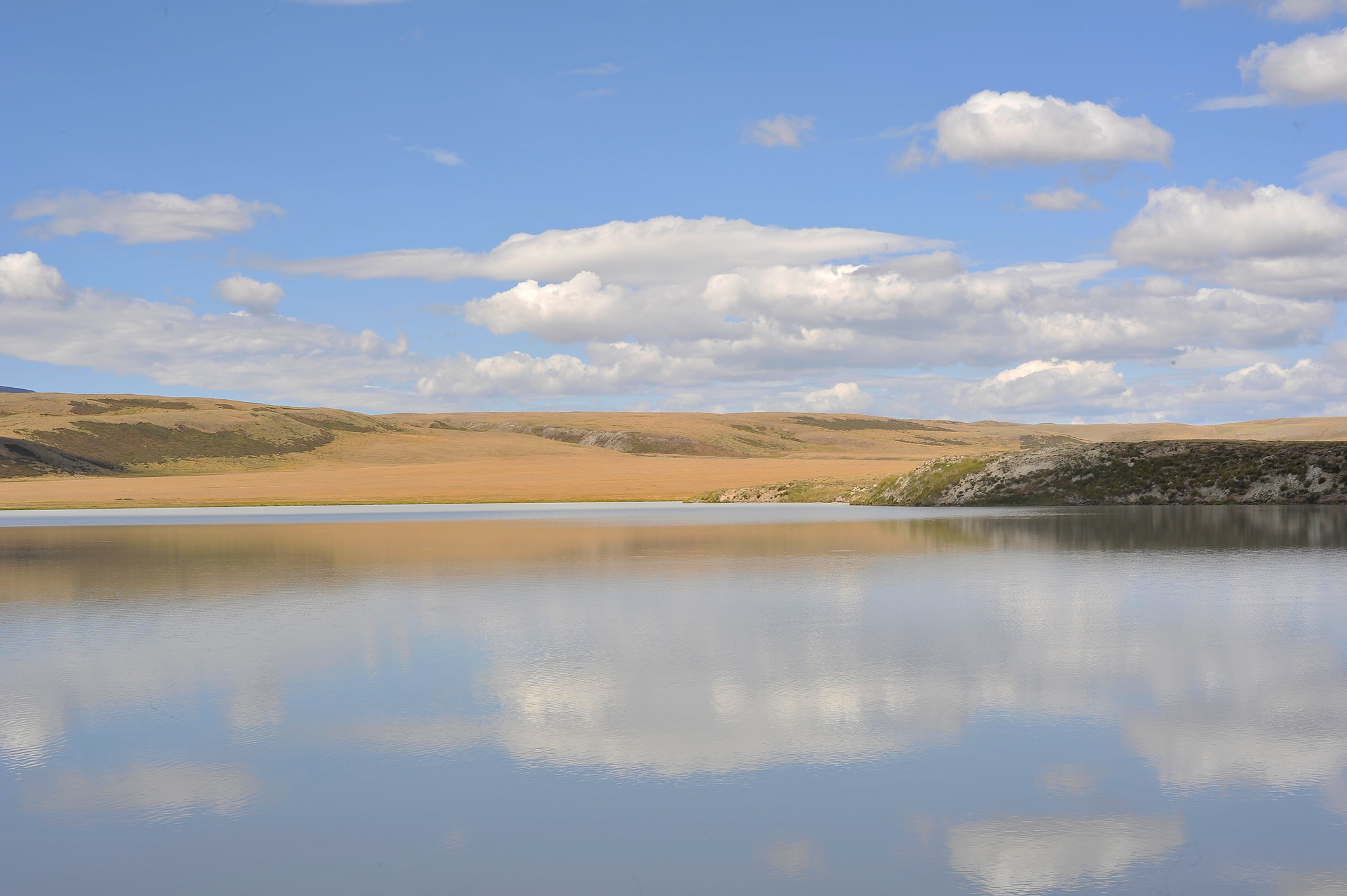 Алтай. Жизнь — Река. Экспедиция на плато Укок. (46/49)