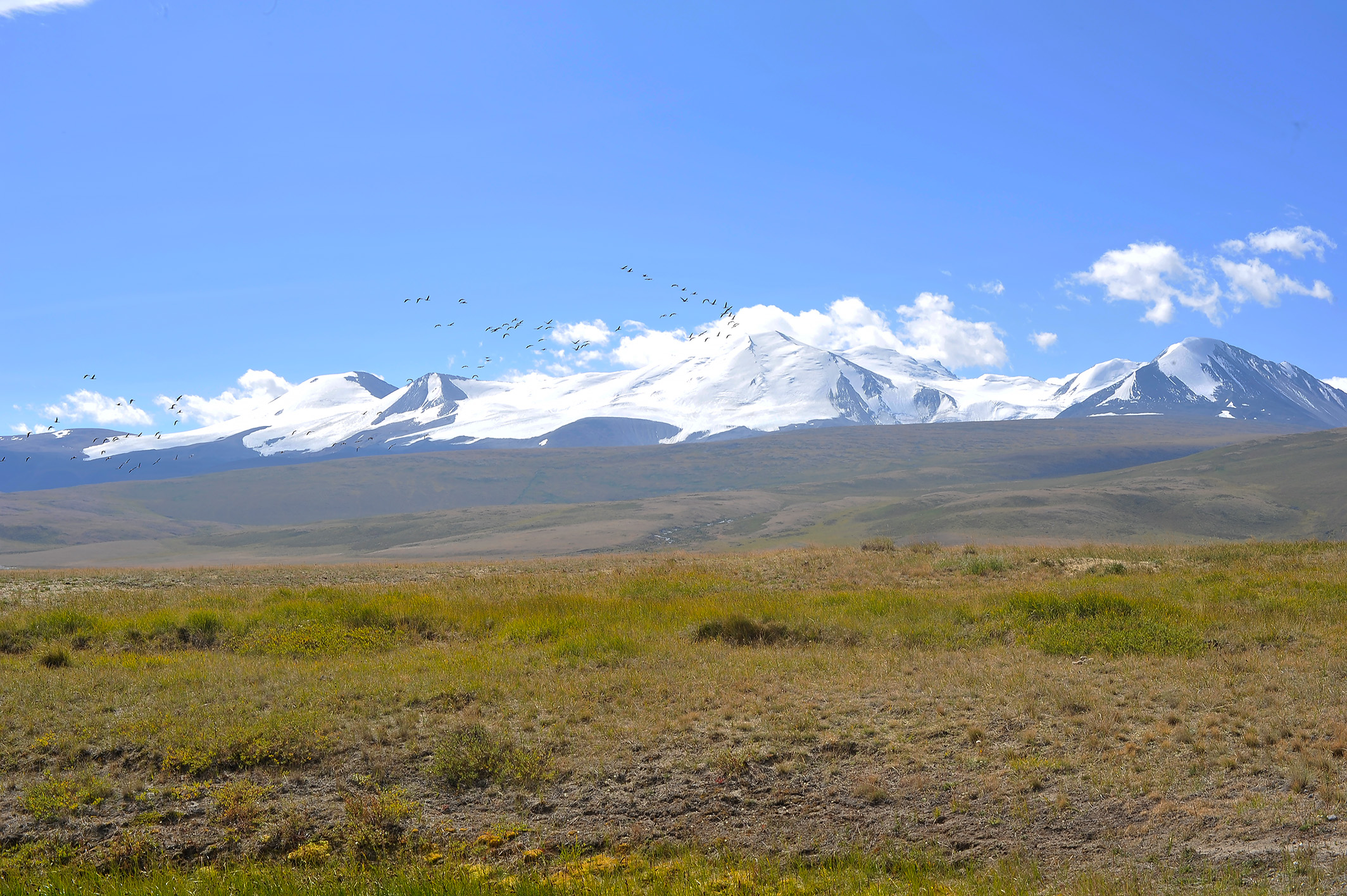 Алтай. Жизнь — Река. Экспедиция на плато Укок. (24/49)