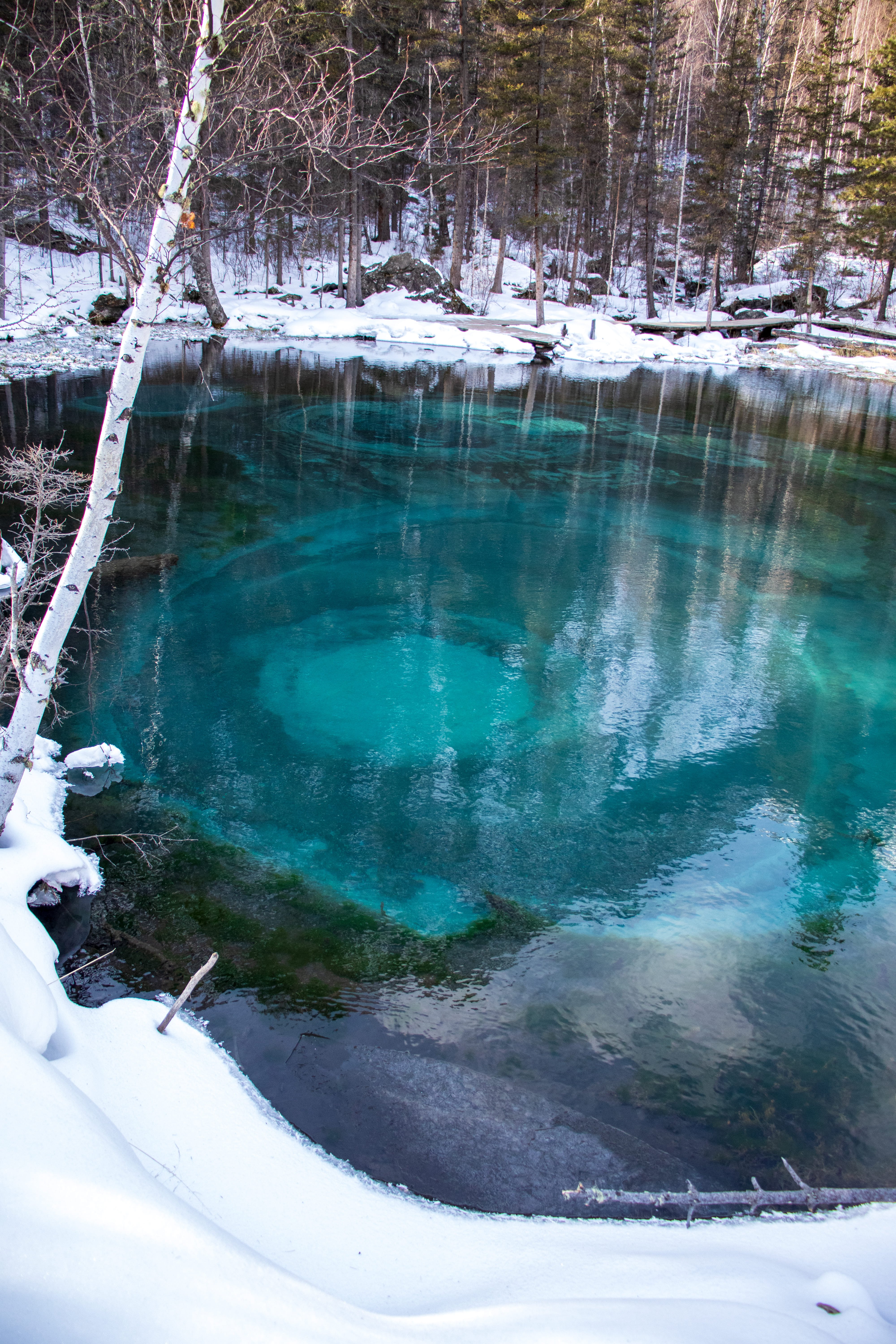 Актив-тур на Алтай (21/41)