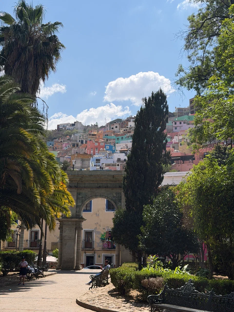 Мексика гастрономическая (34/63)