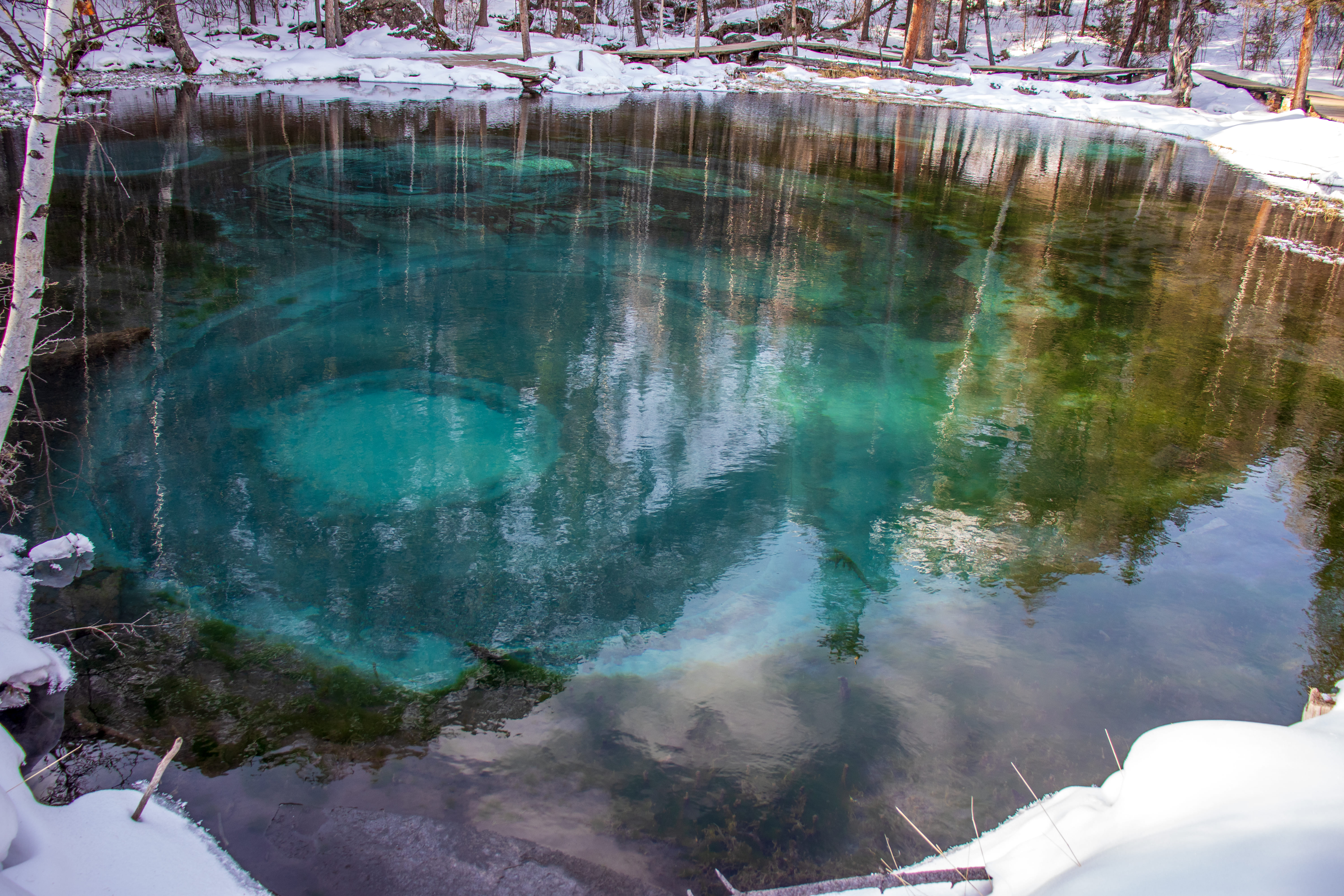Актив-тур на Алтай (18/41)