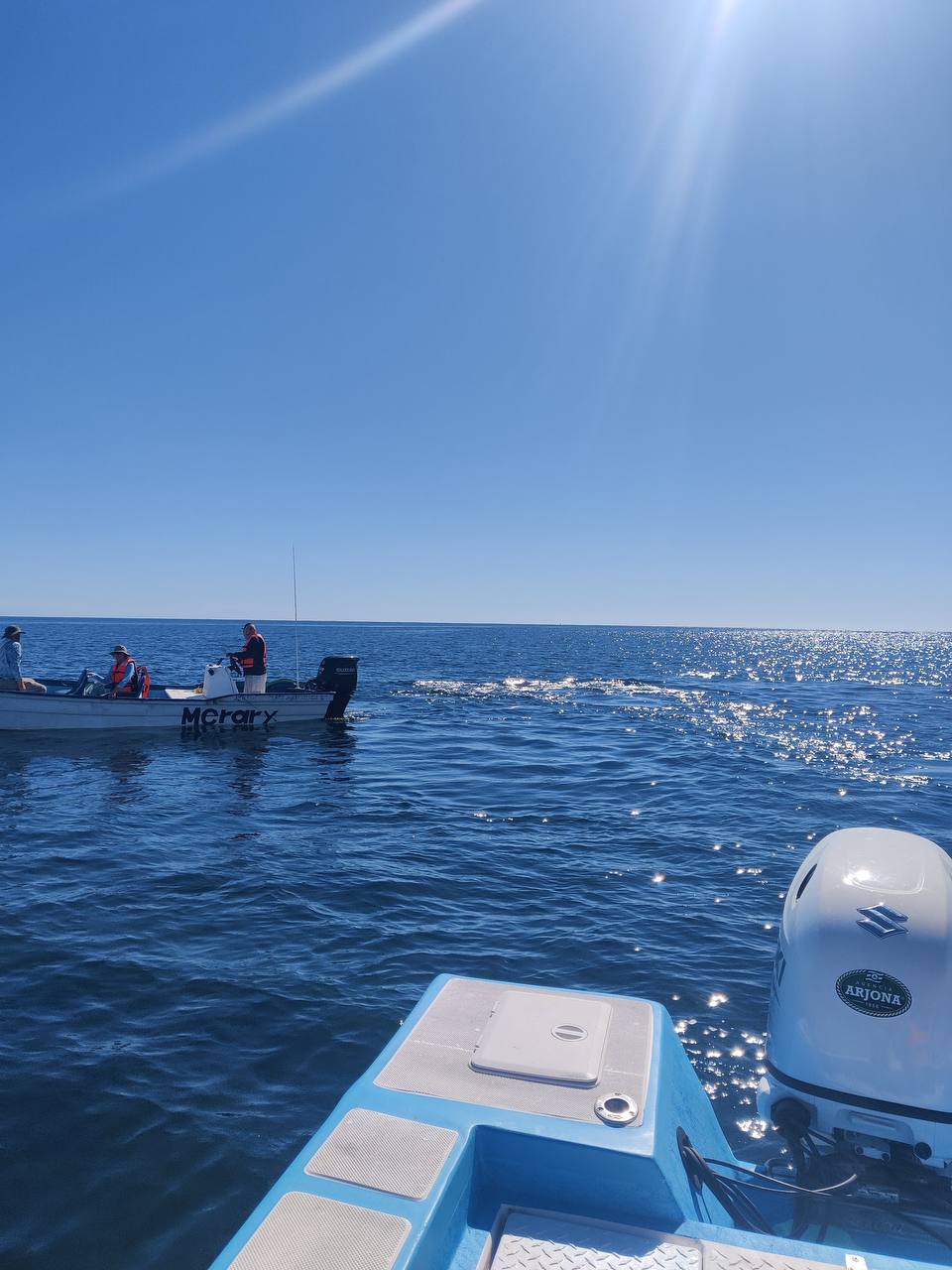 Мексика гастрономическая (57/63)