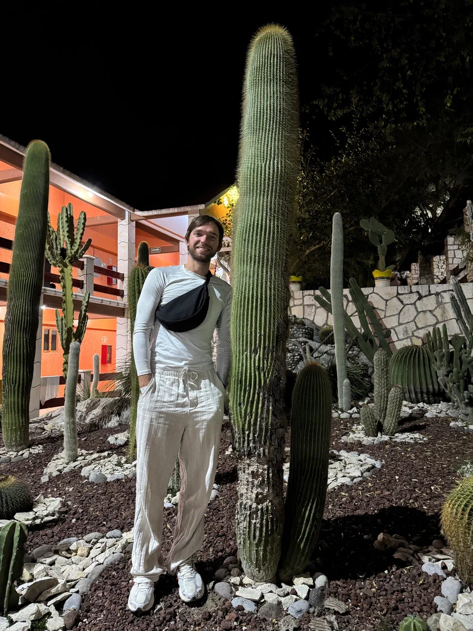 Мексика гастрономическая (27/63)