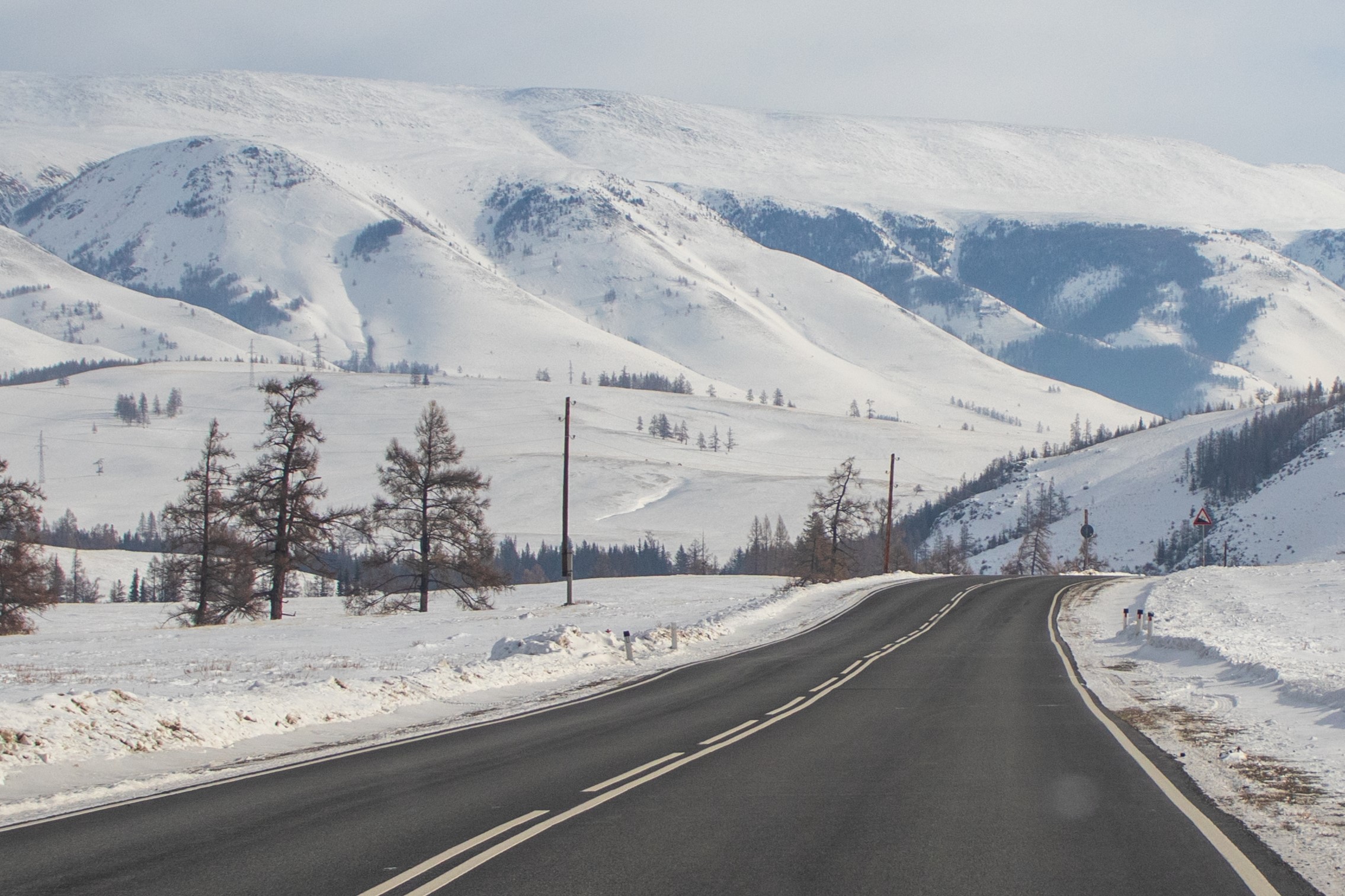 Актив-тур на Алтай (17/41)