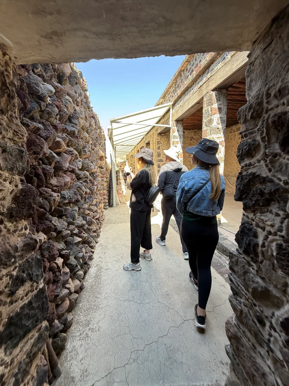 Мексика гастрономическая (17/63)