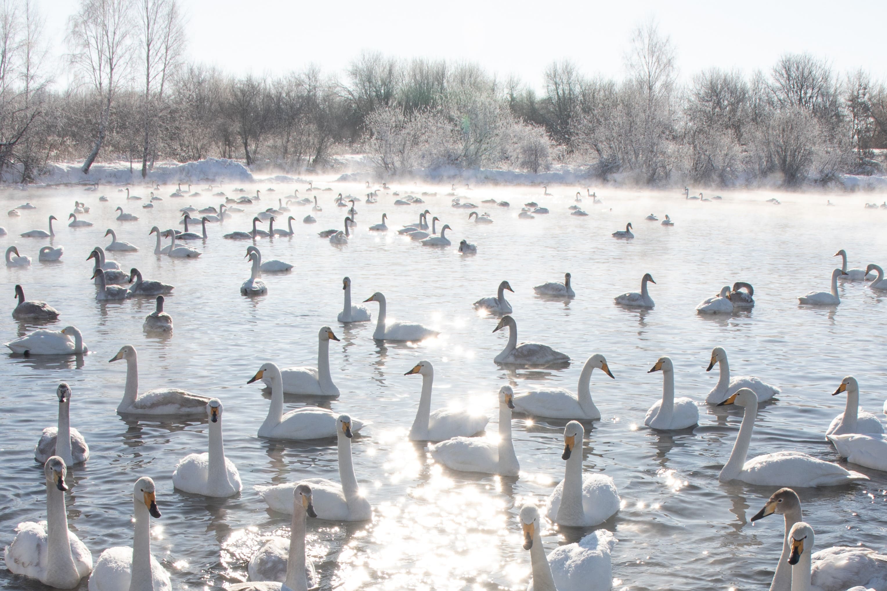 Актив-тур на Алтай (4/41)