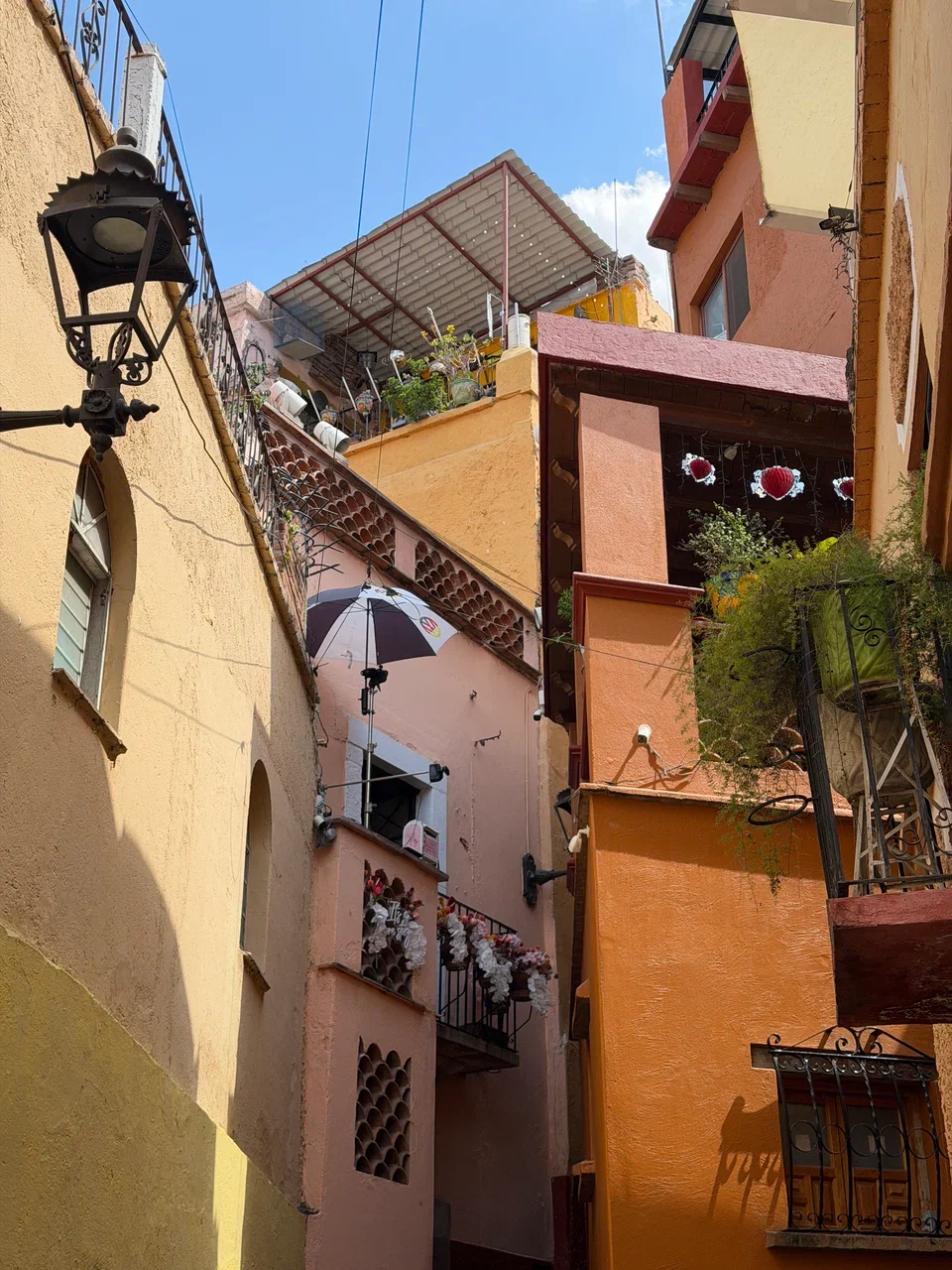 Мексика гастрономическая (48/63)