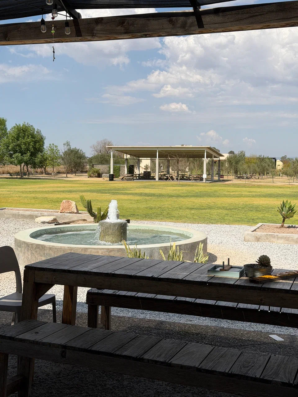 Мексика гастрономическая (40/63)