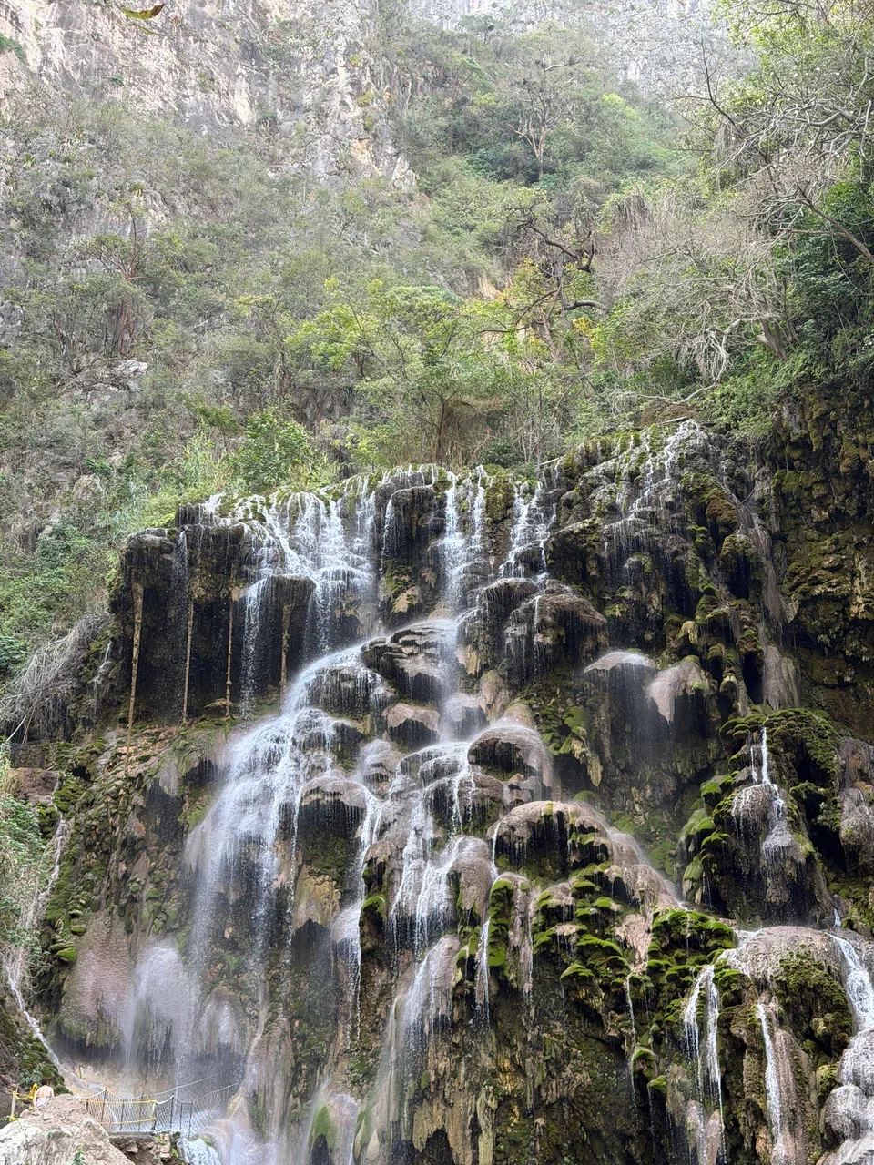 Мексика гастрономическая (10/63)