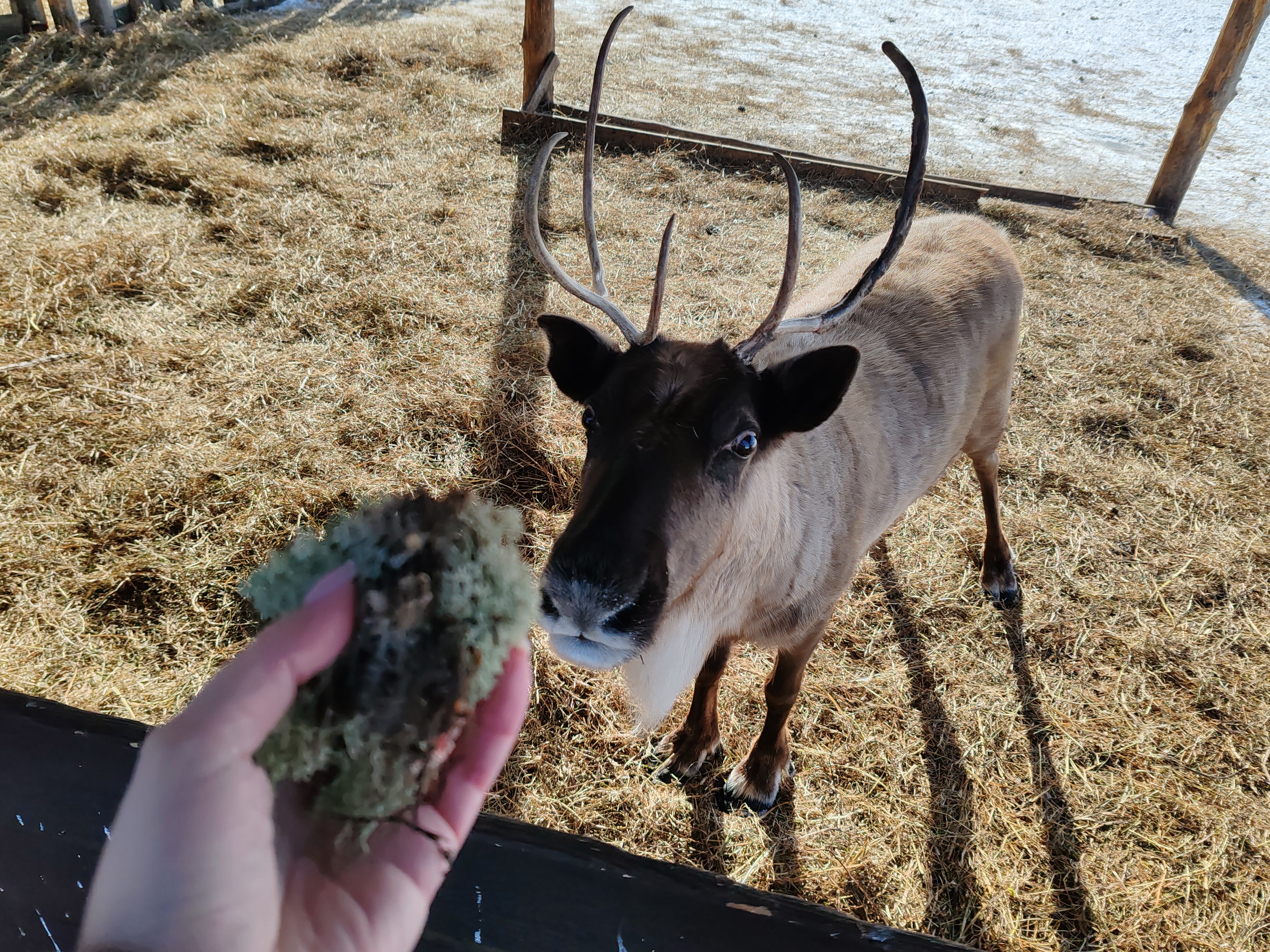 Актив-тур на Алтай (24/41)