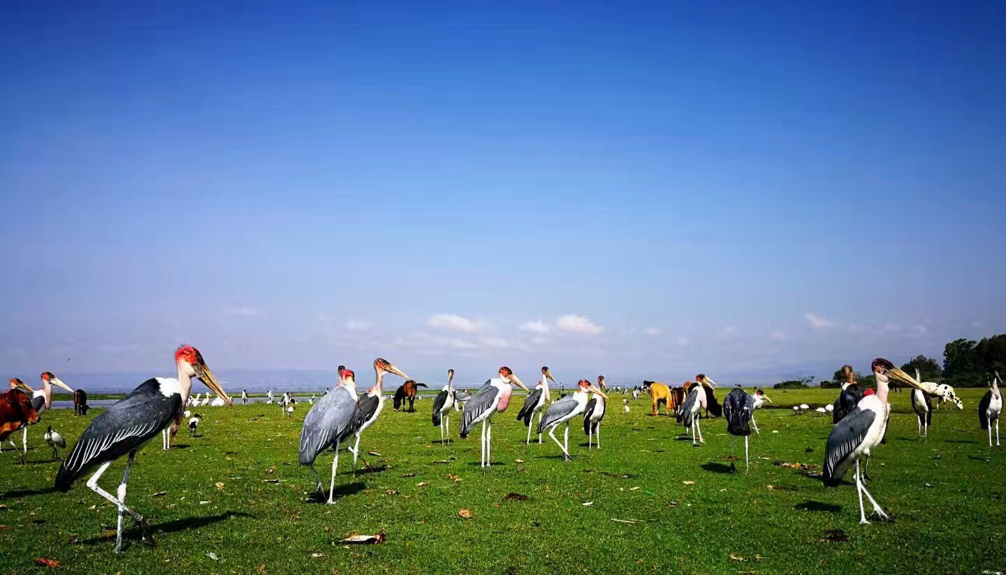 Ethiopia Omo Valley (3/12)