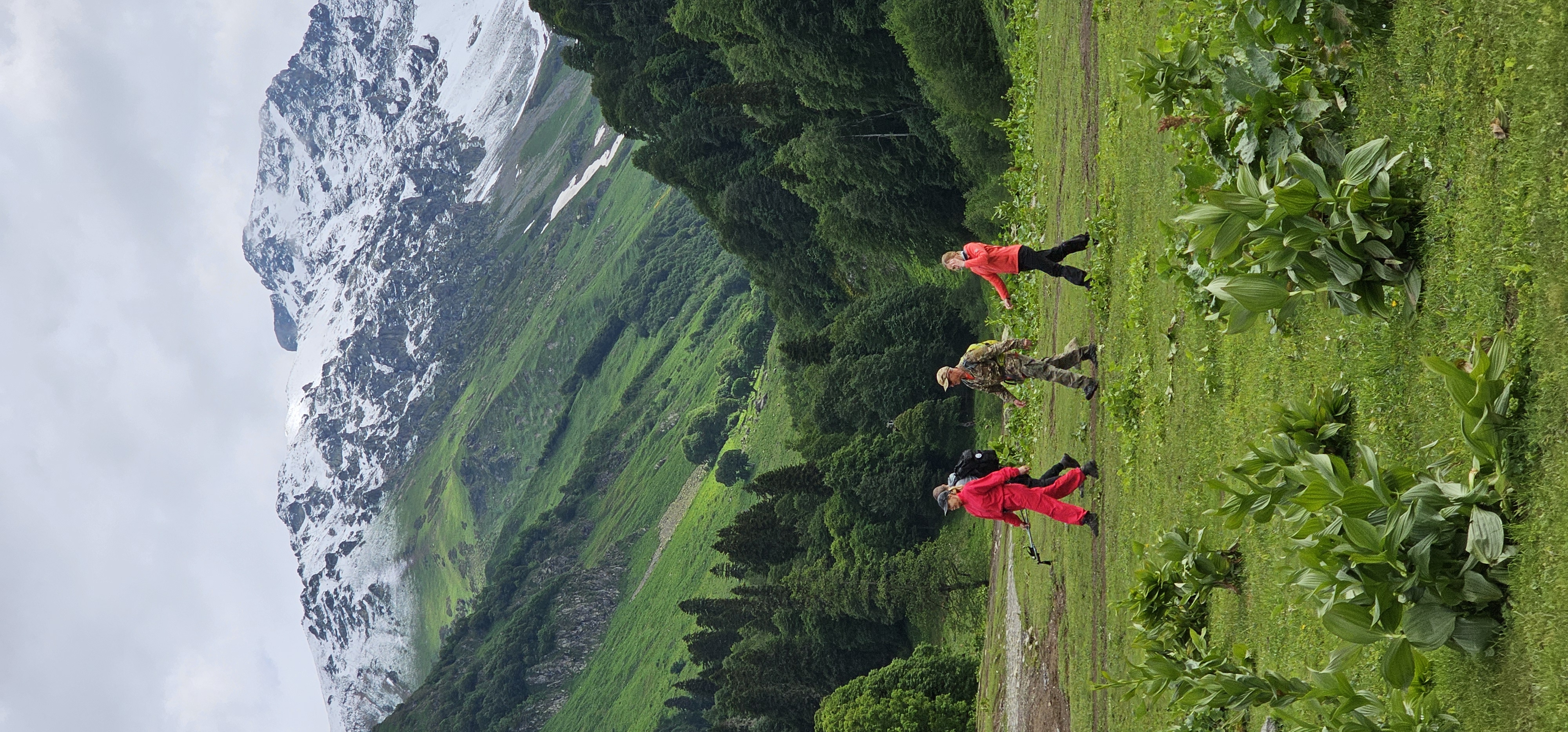 Активный мультитур Другая Абхазия (55/91)