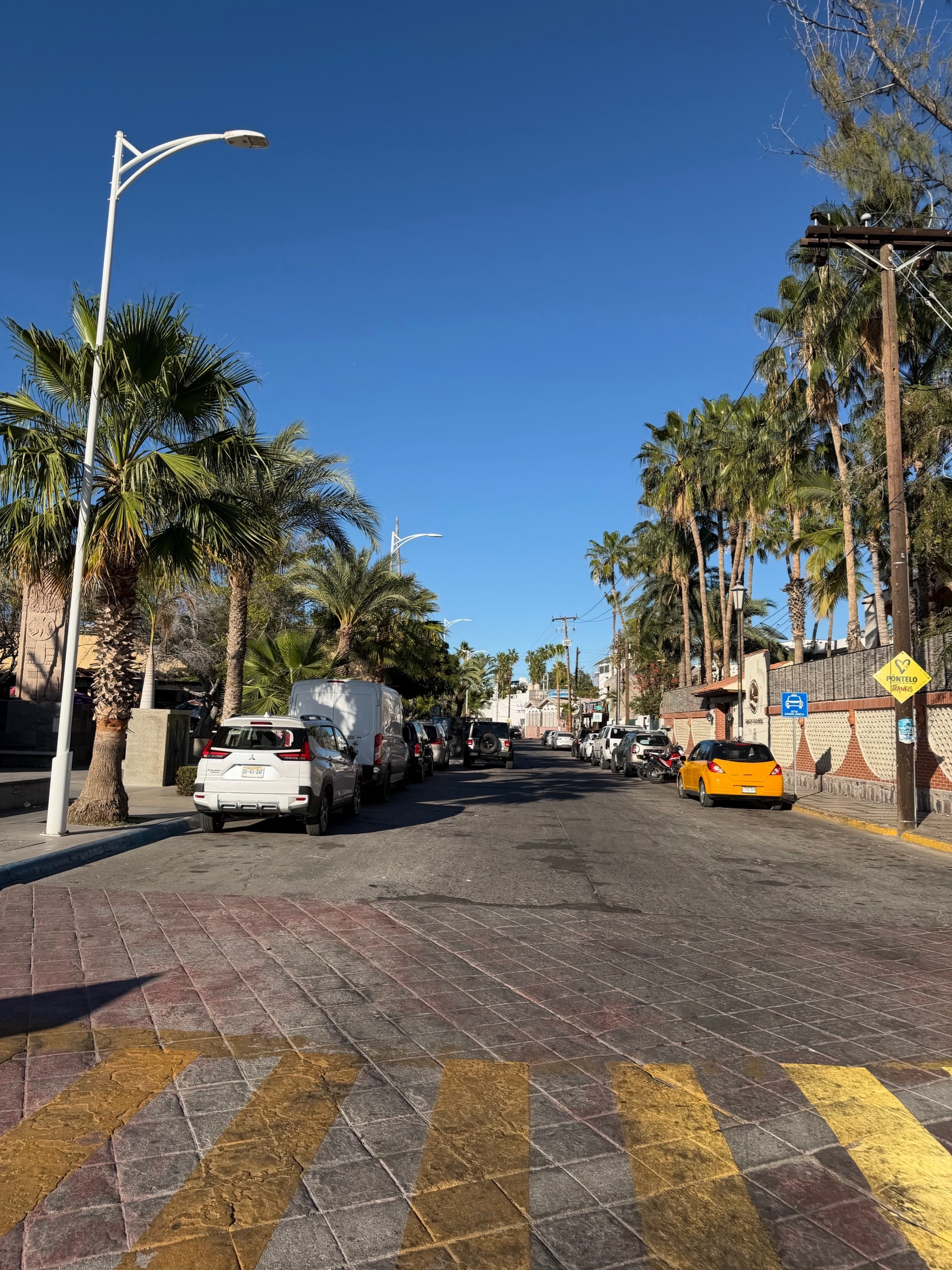 Мексика гастрономическая (49/63)