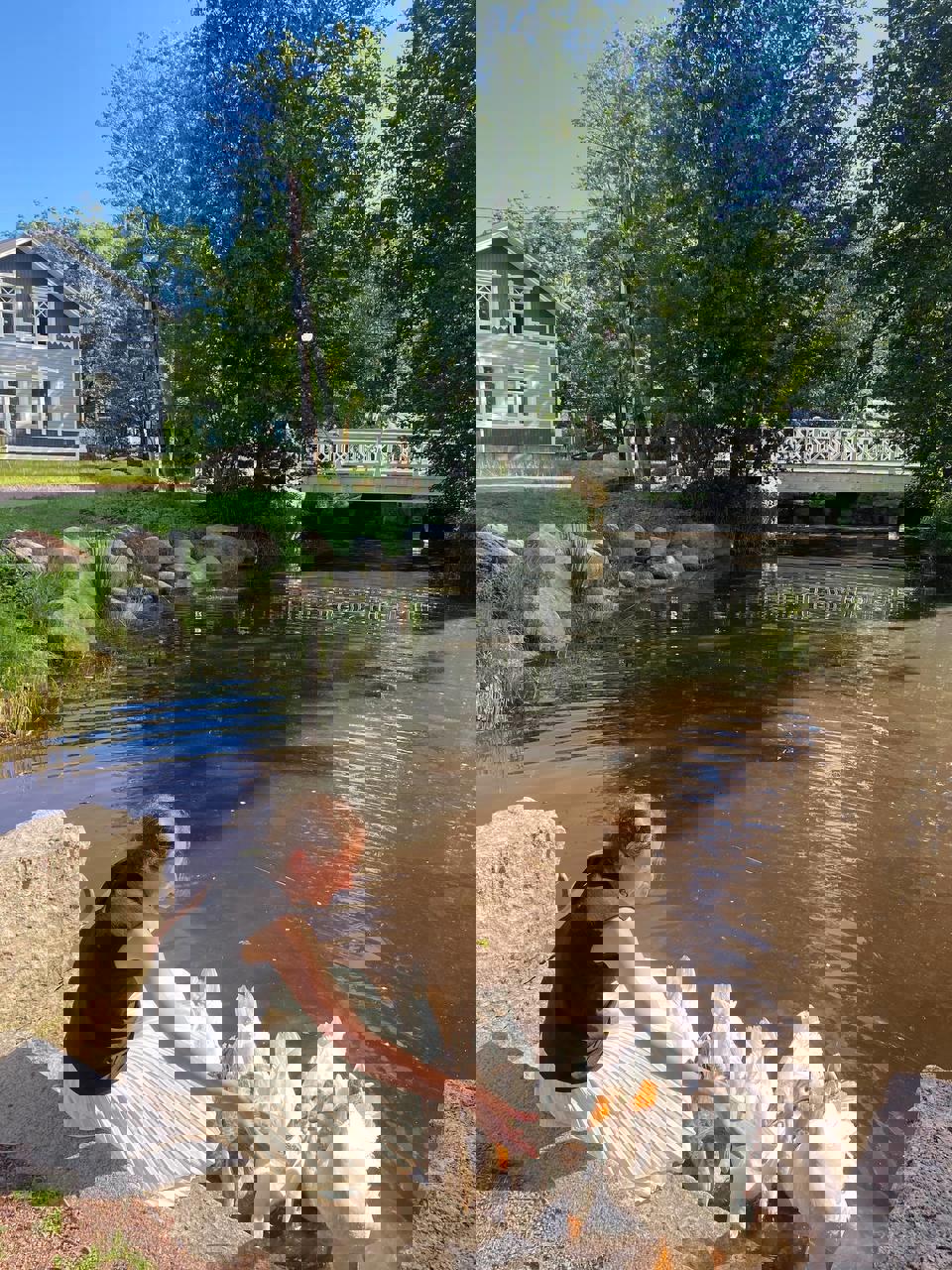 Сказочные выходные в Выборге (31/31)