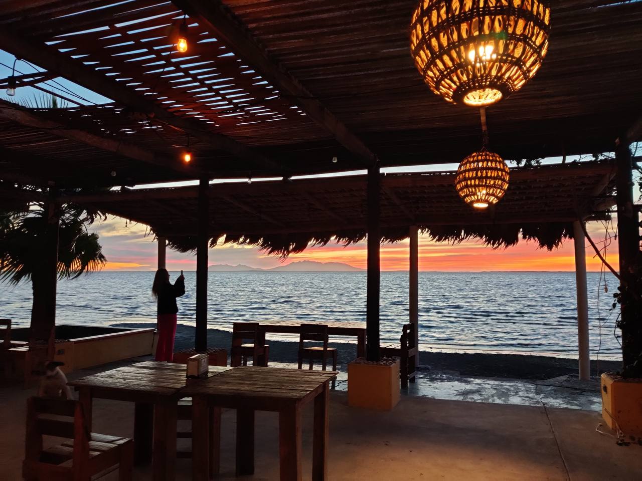 Мексика гастрономическая (51/63)