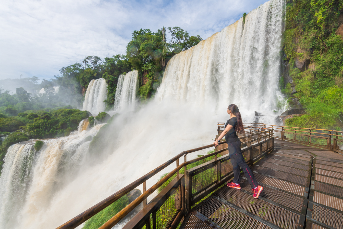 Аргентина и Чили: от Игуасу в Патагонию! (12/34)