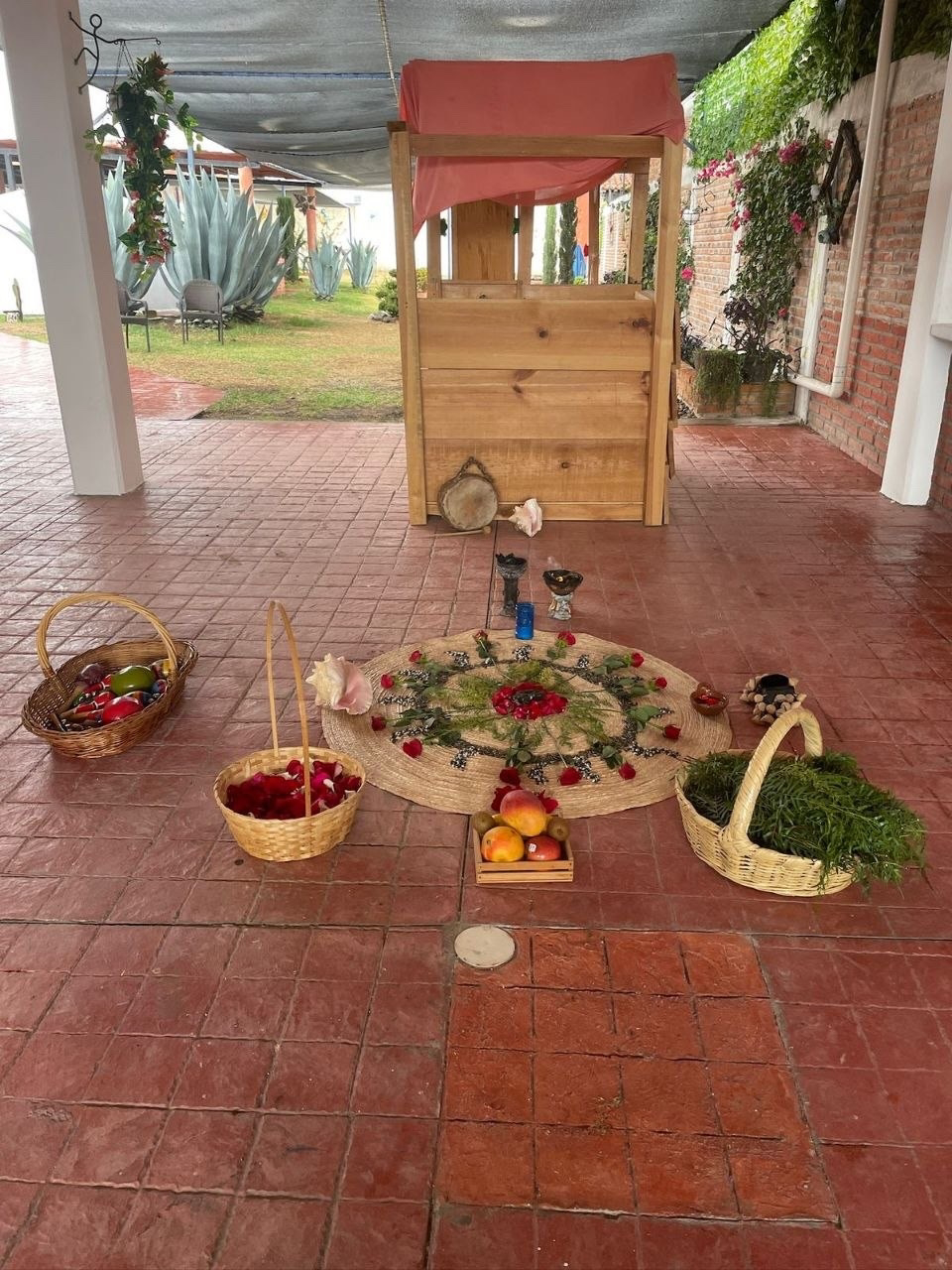 Мексика гастрономическая (44/63)