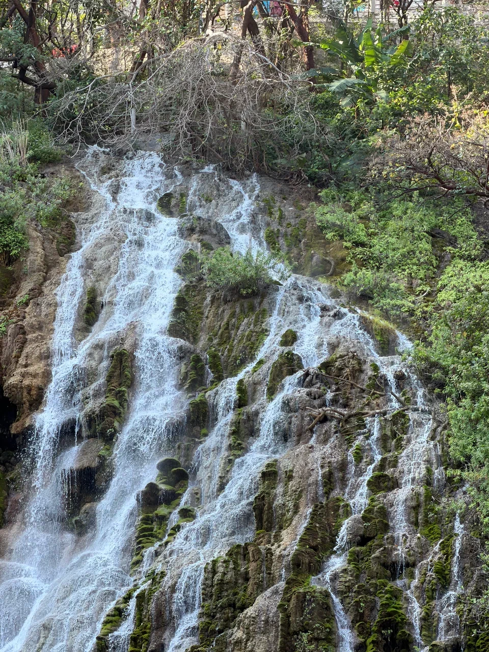 Мексика гастрономическая (11/63)