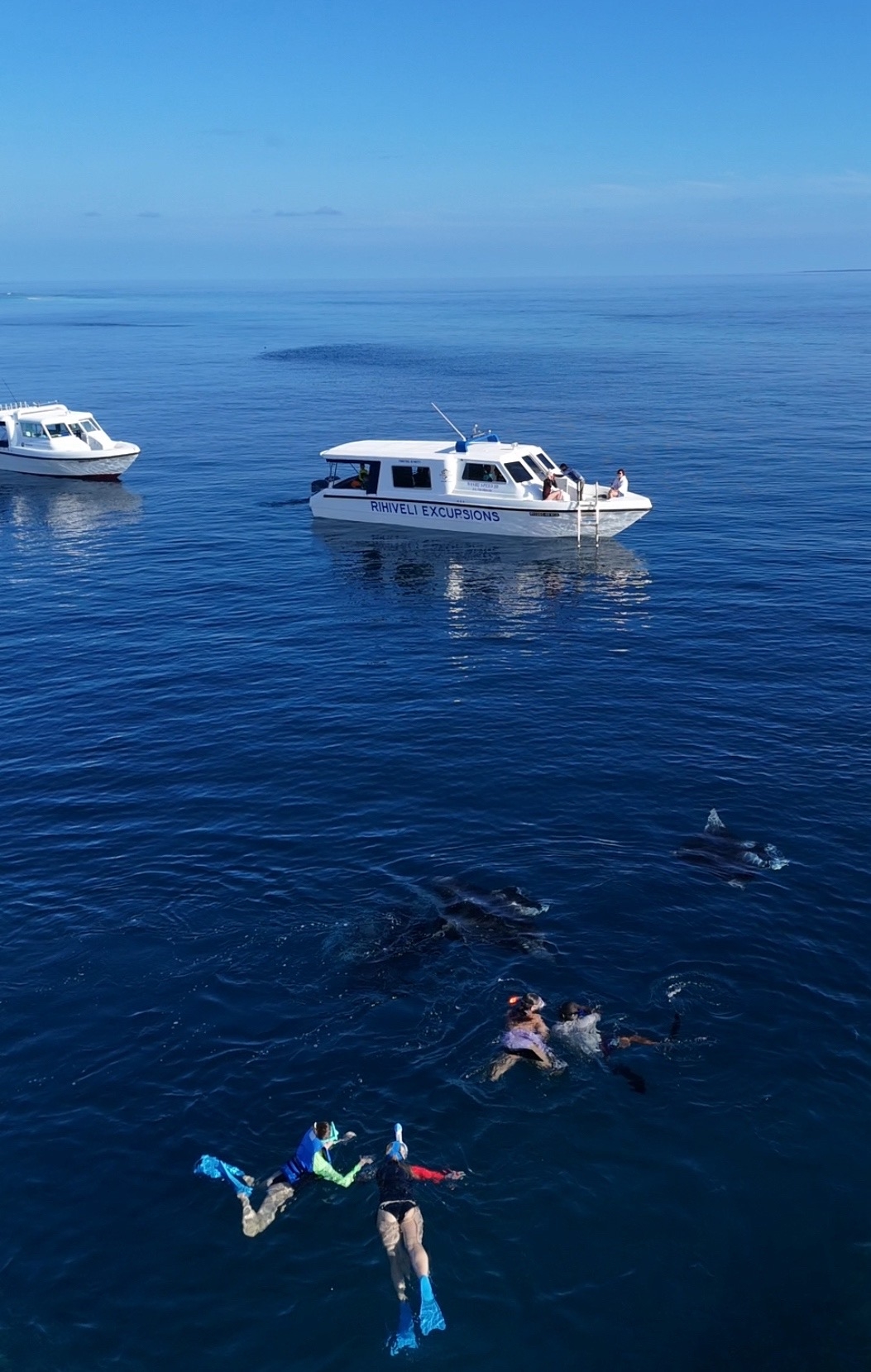 Фитнес тур (27/45)