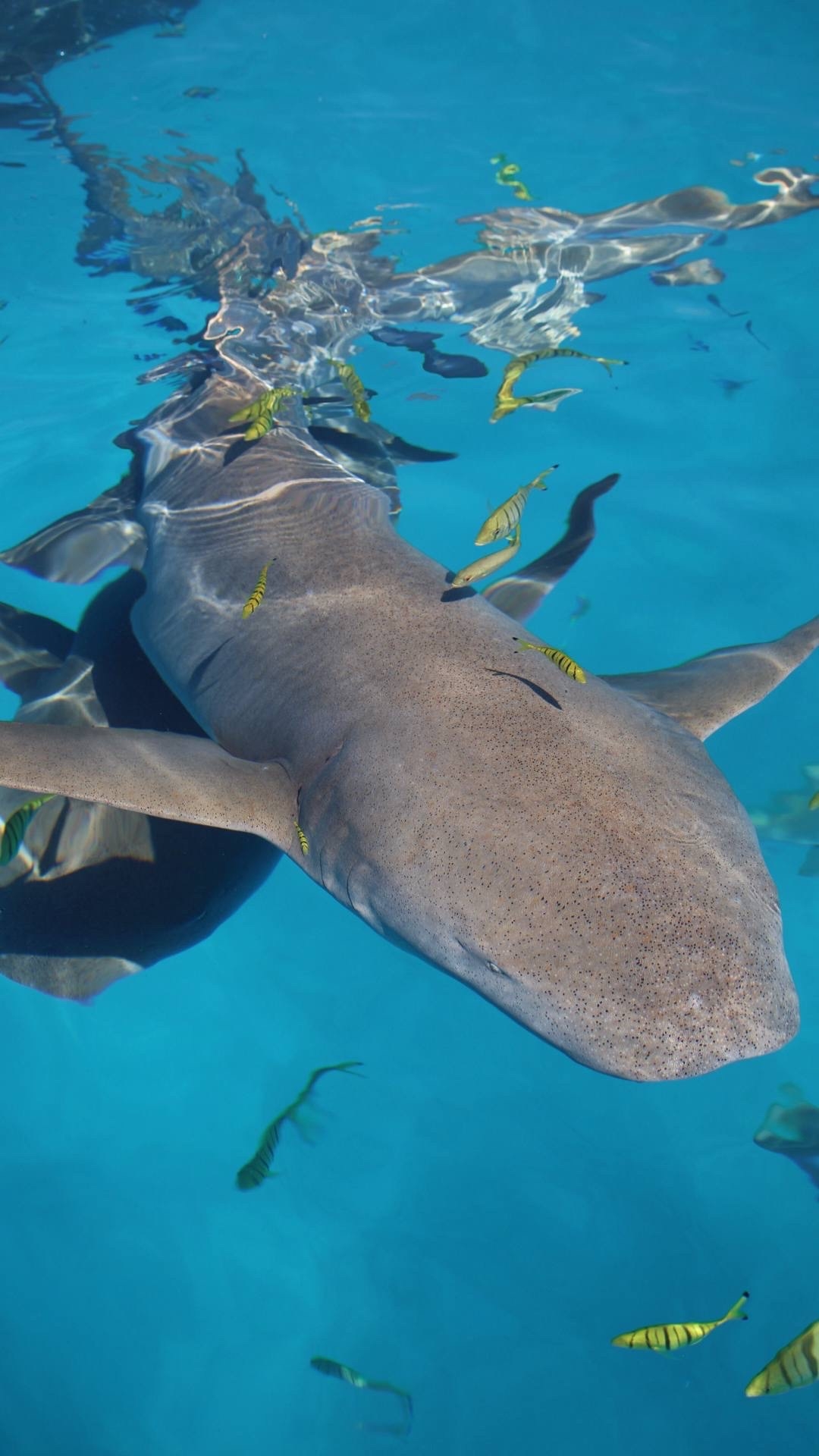 Фитнес тур (26/45)