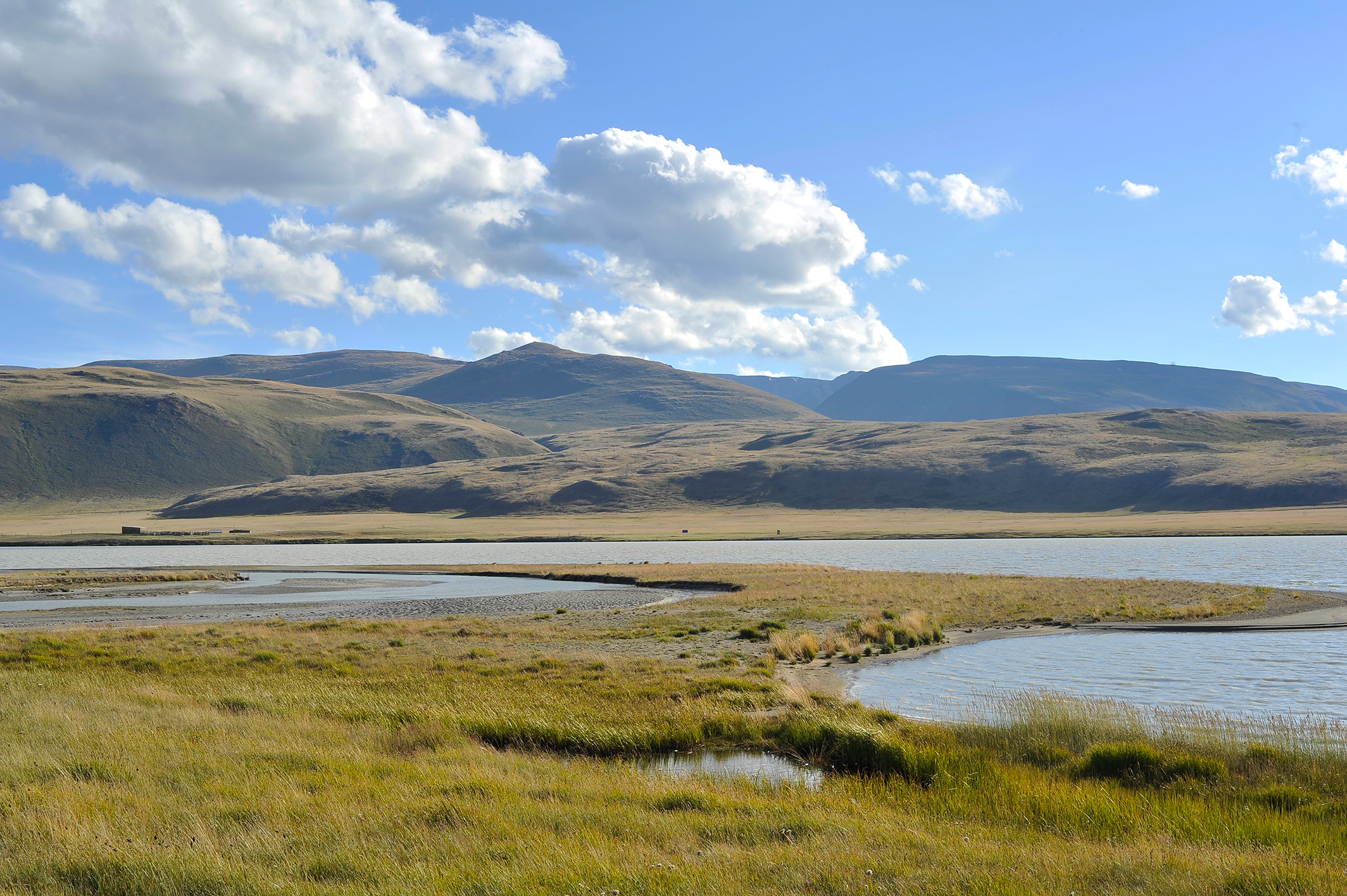 Алтай. Жизнь — Река. Экспедиция на плато Укок. (19/49)