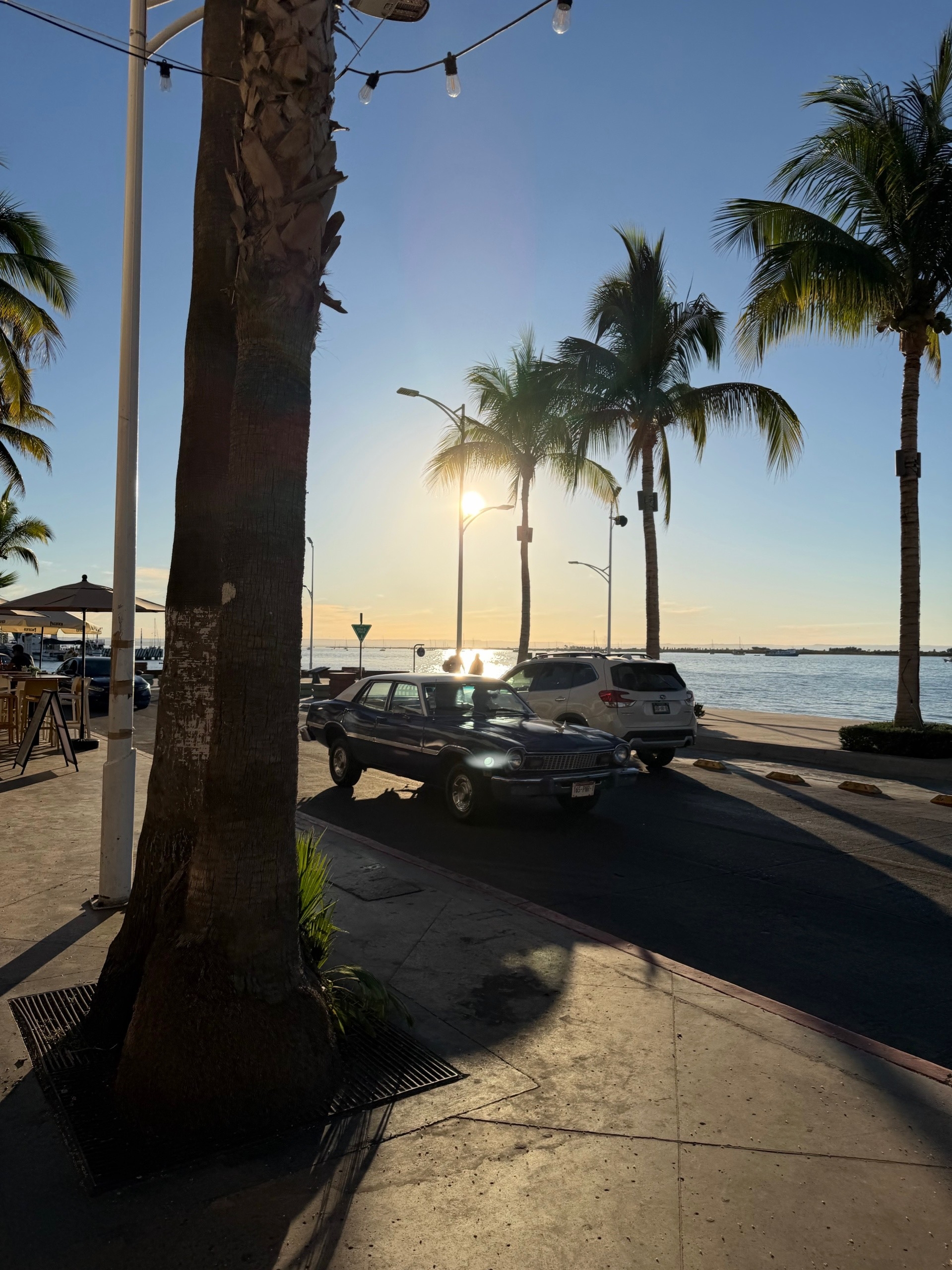 Мексика гастрономическая (50/63)