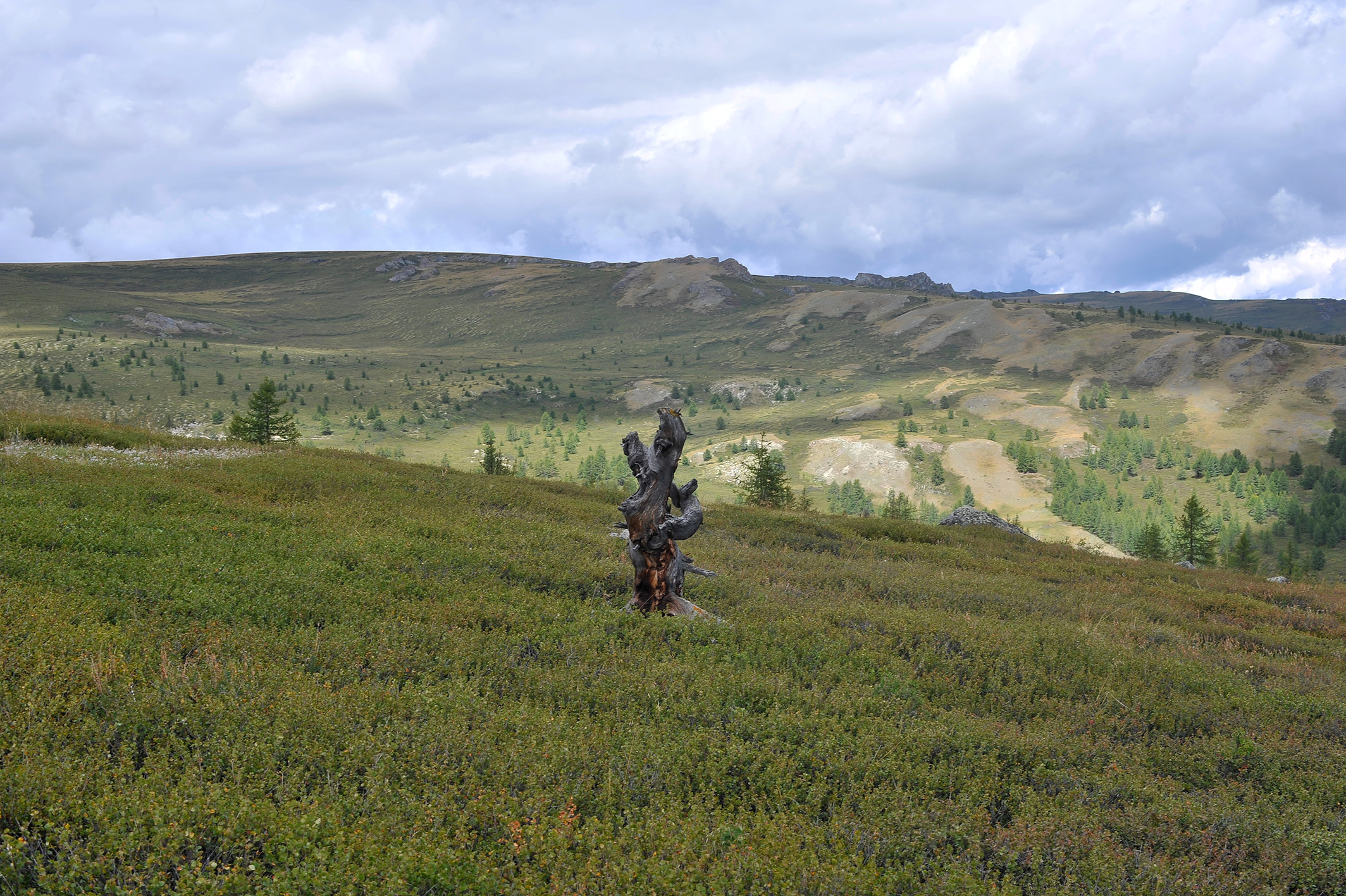 Алтай. Жизнь — Река. Экспедиция на плато Укок. (34/49)