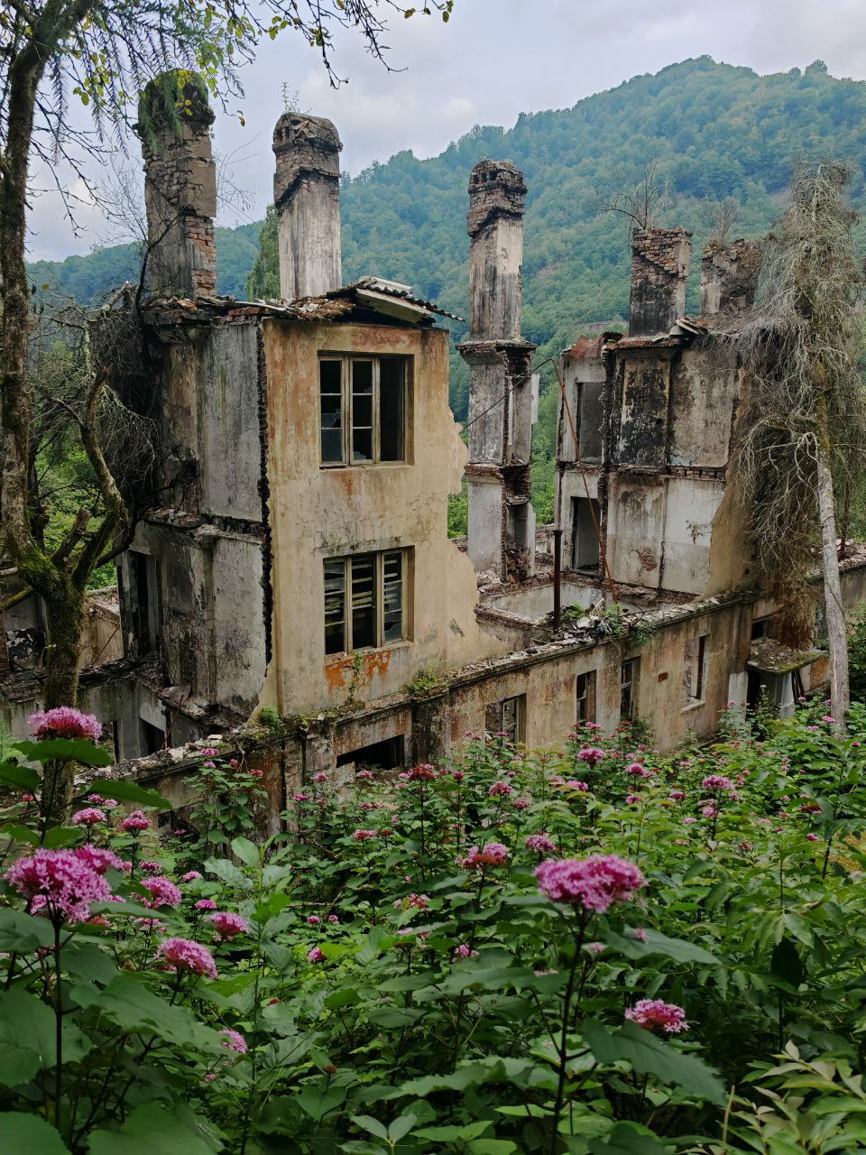 Активный мультитур Другая Абхазия (46/91)