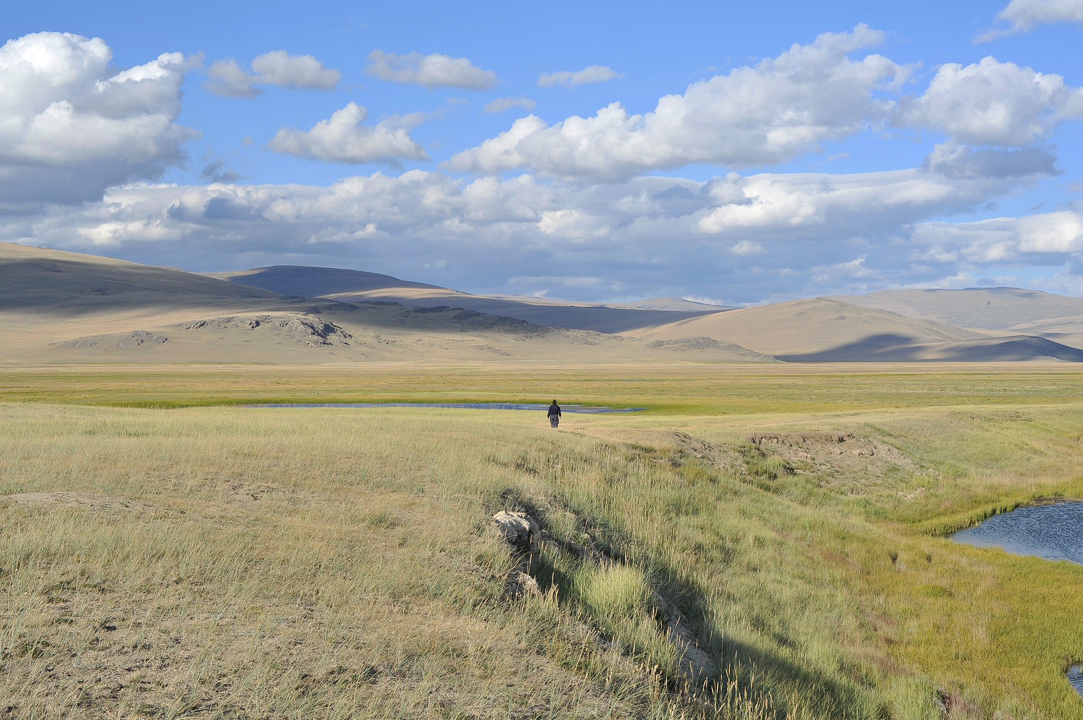Алтай. Жизнь — Река. Экспедиция на плато Укок. (36/49)