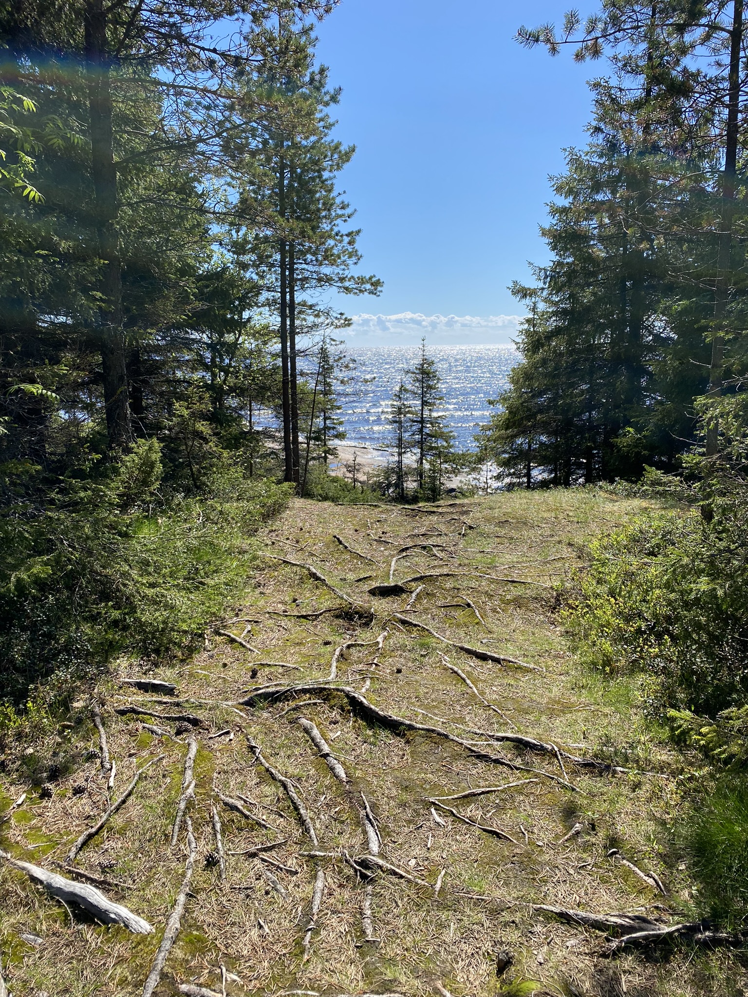 Экскурсия из Репино Карельский перешеек  в царство сосен, озёр и камней