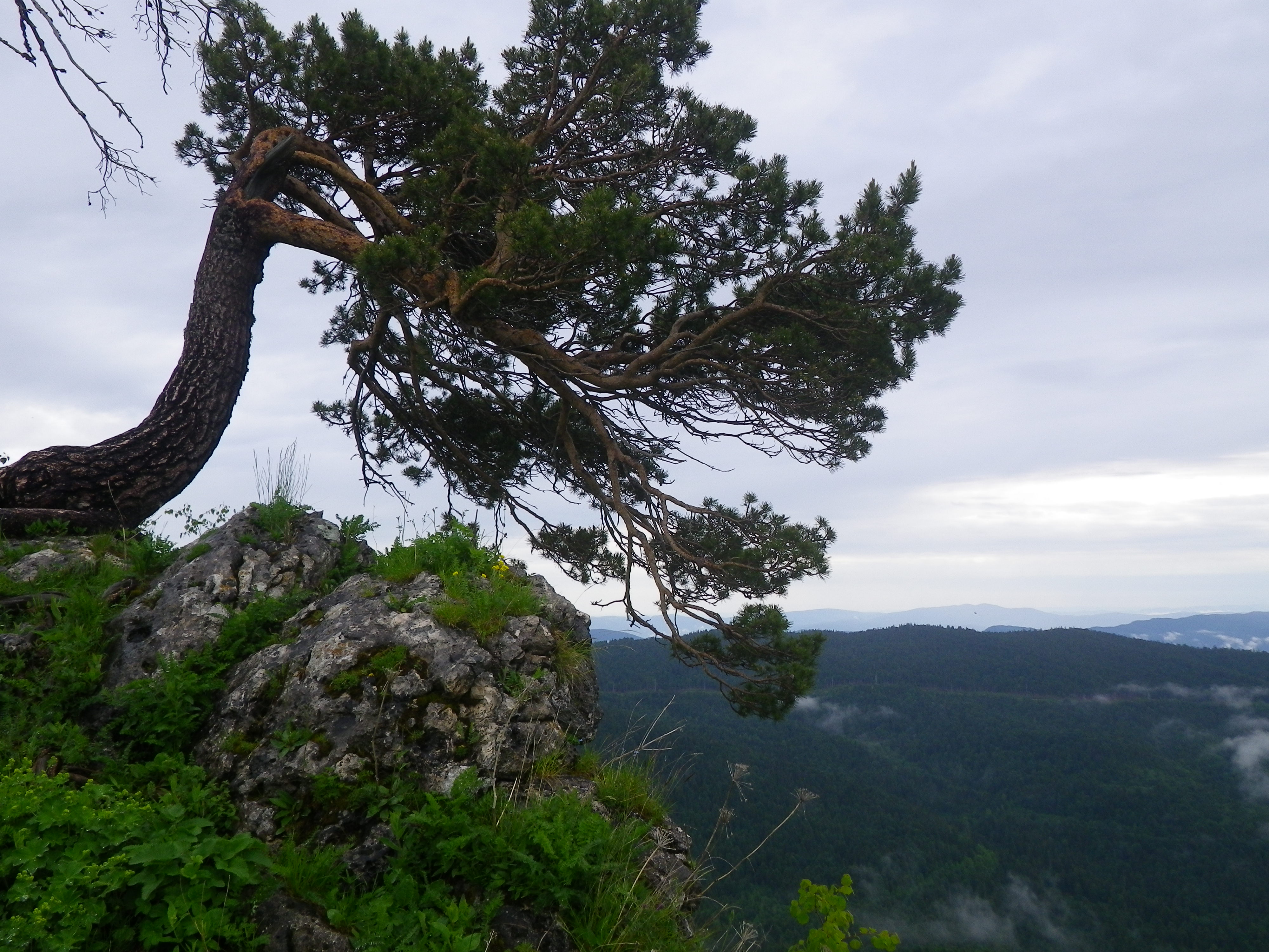 Золотое кольцо Плато Лаго Наки (7 дней) (8/12)