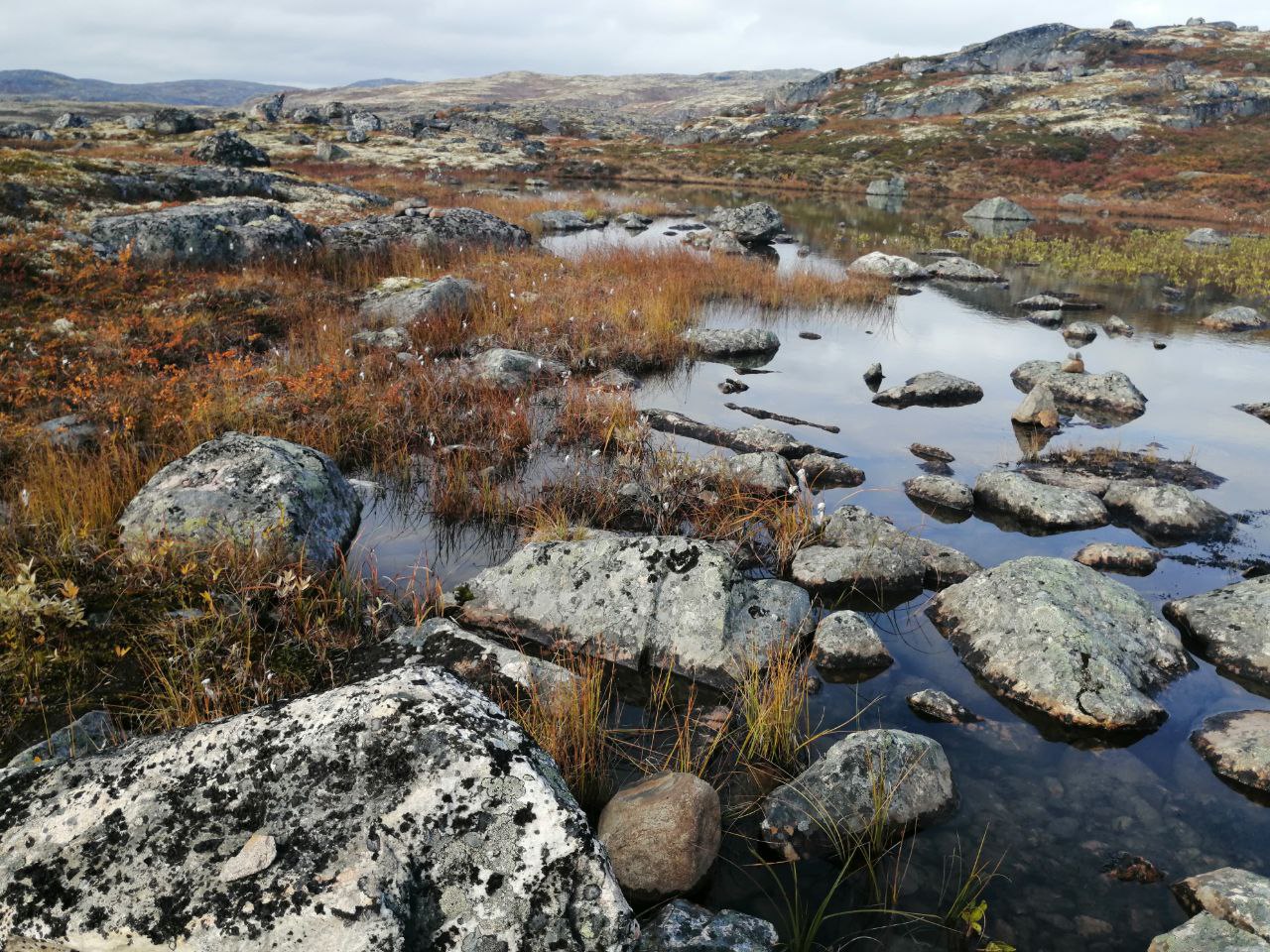 3 дня на Вездеходах. Полуострова Средний и Рыбачий (11/17)