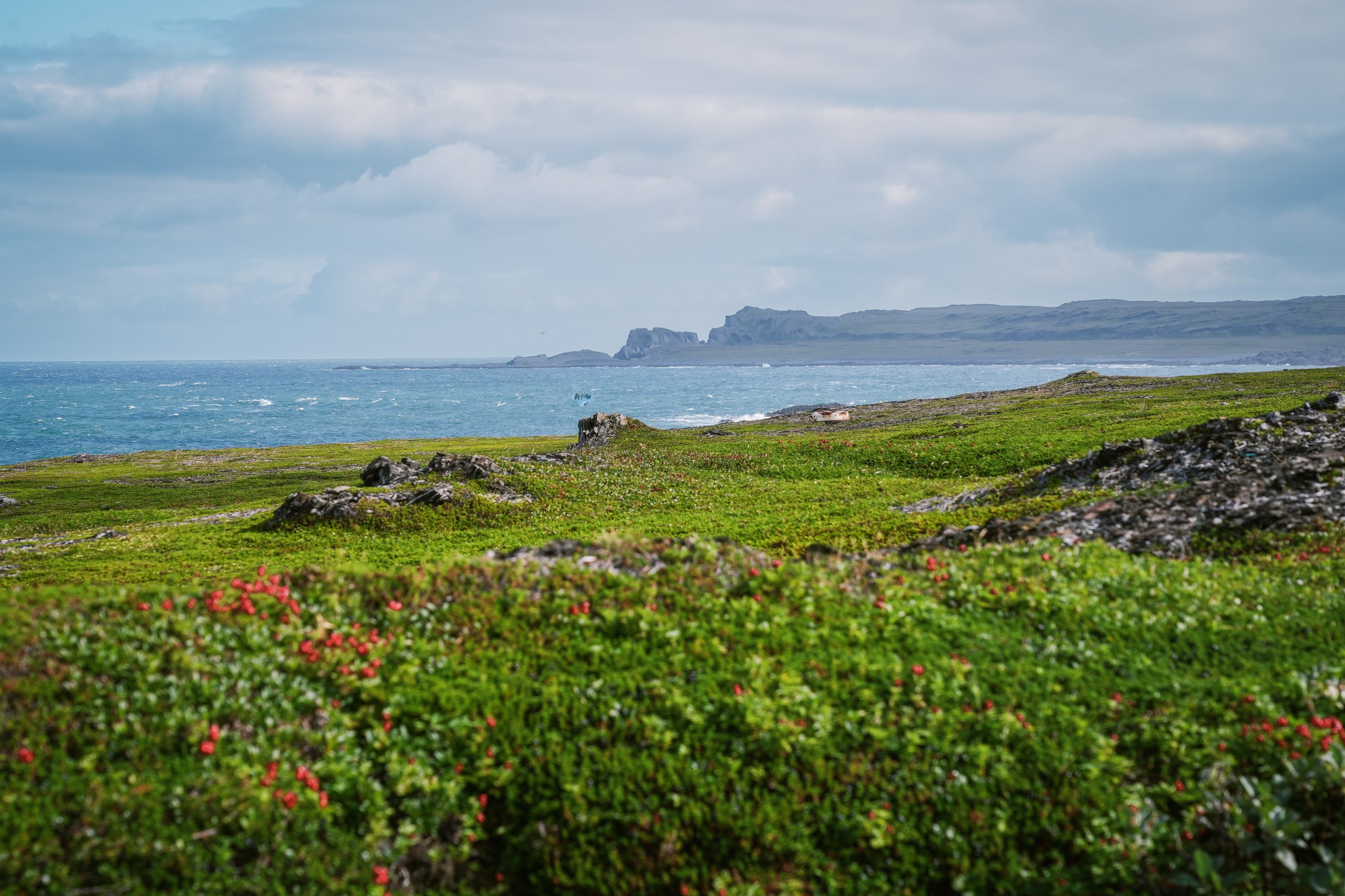 3 дня на Вездеходах. Полуострова Средний и Рыбачий (8/17)