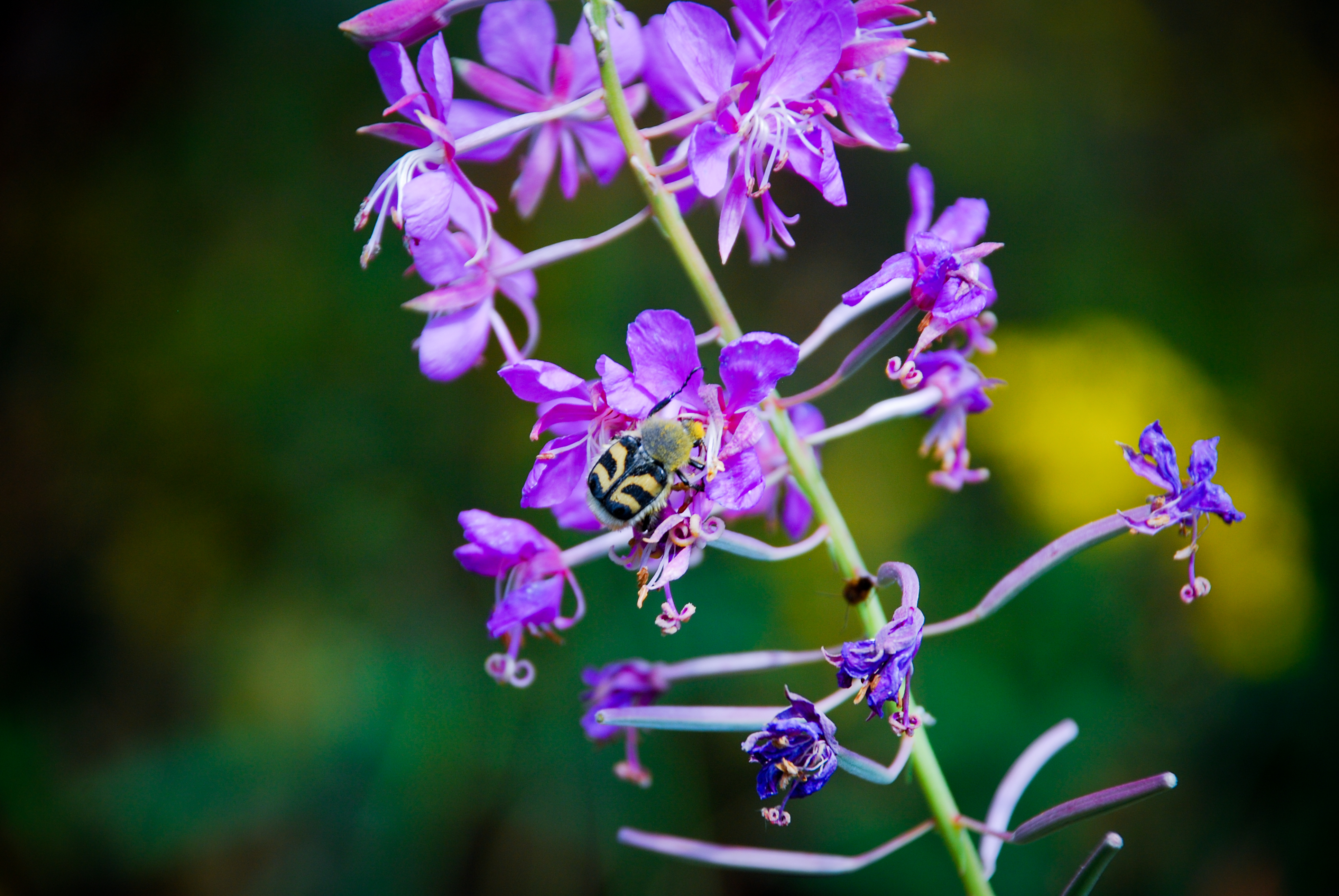Уральский мультитур (7/11)