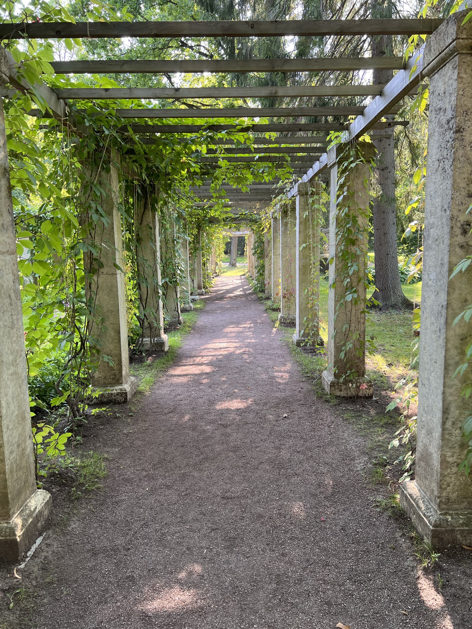 Экскурсия в Ораниенбаум с Меншиковским дворцом и Китайским дворцом