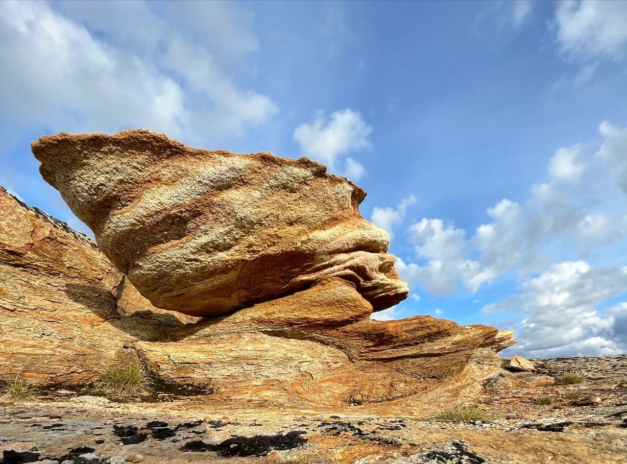 3 дня на Вездеходах. Полуострова Средний и Рыбачий (17/17)