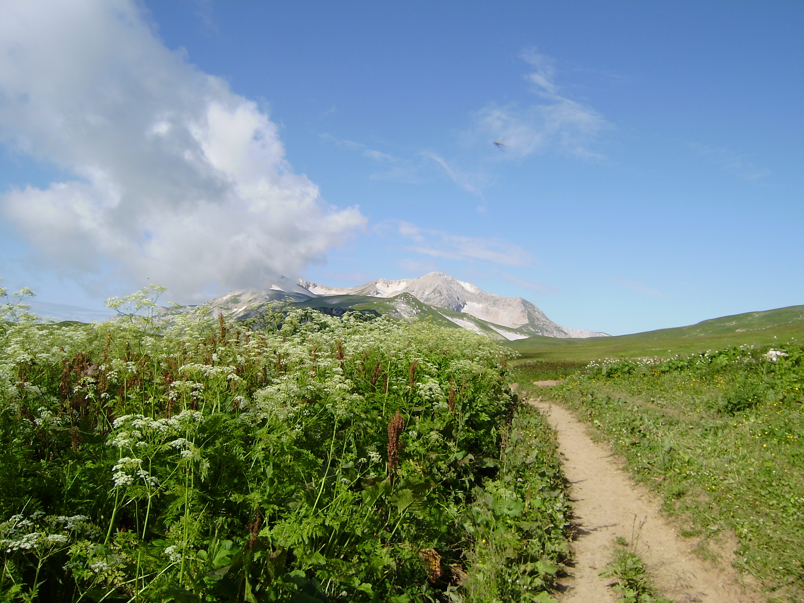 Золотое кольцо Плато Лаго Наки (7 дней)